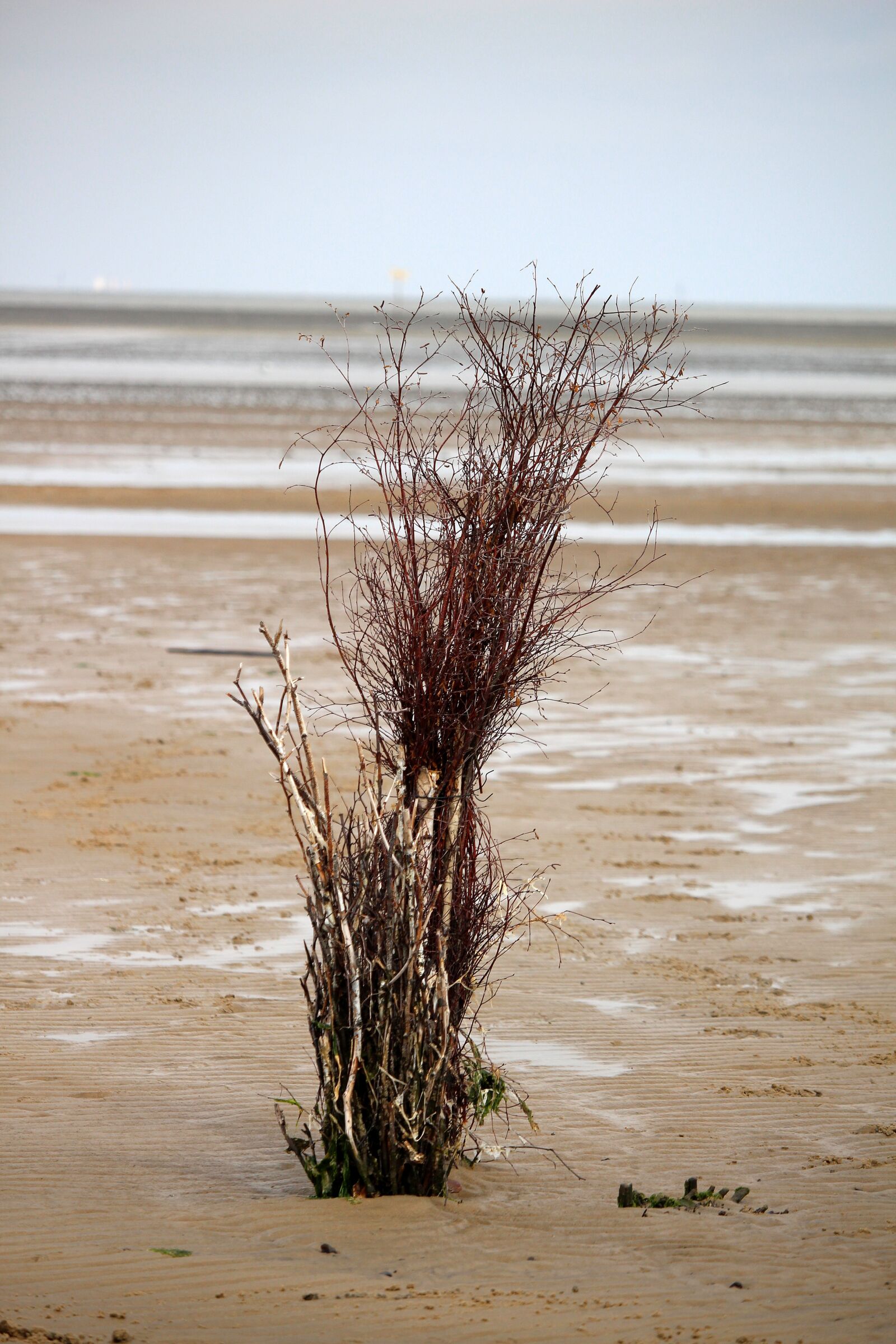 Canon EF-S 55-250mm F4-5.6 IS STM sample photo. Wadden sea, rush, waymarks photography