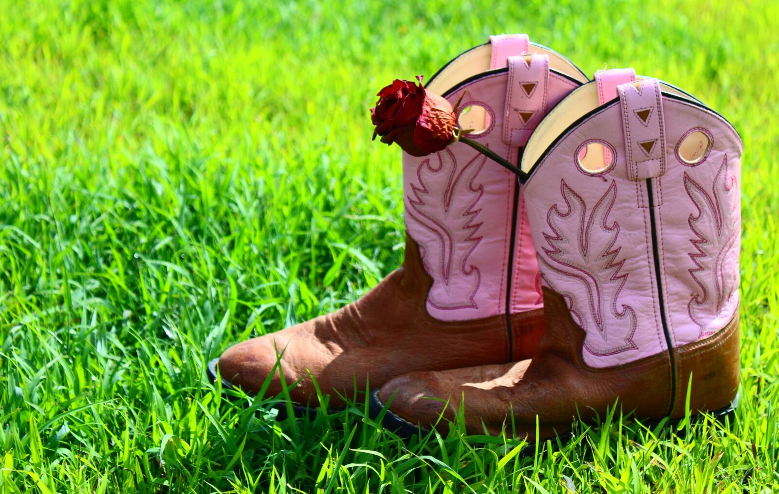 Canon EOS 1200D (EOS Rebel T5 / EOS Kiss X70 / EOS Hi) sample photo. Boots, leather, brown photography