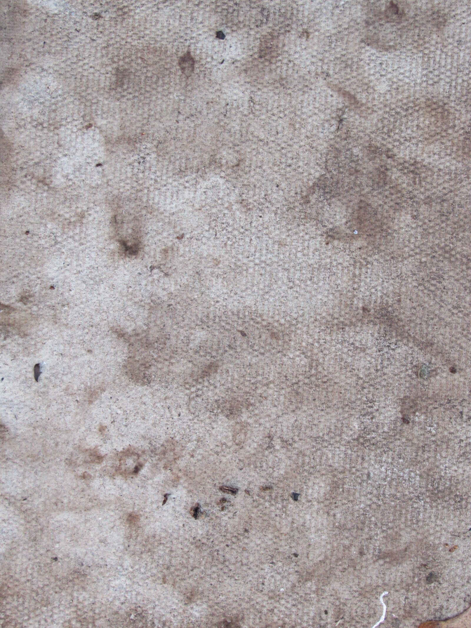 Canon PowerShot SX510 HS sample photo. Texture, stone, stain photography