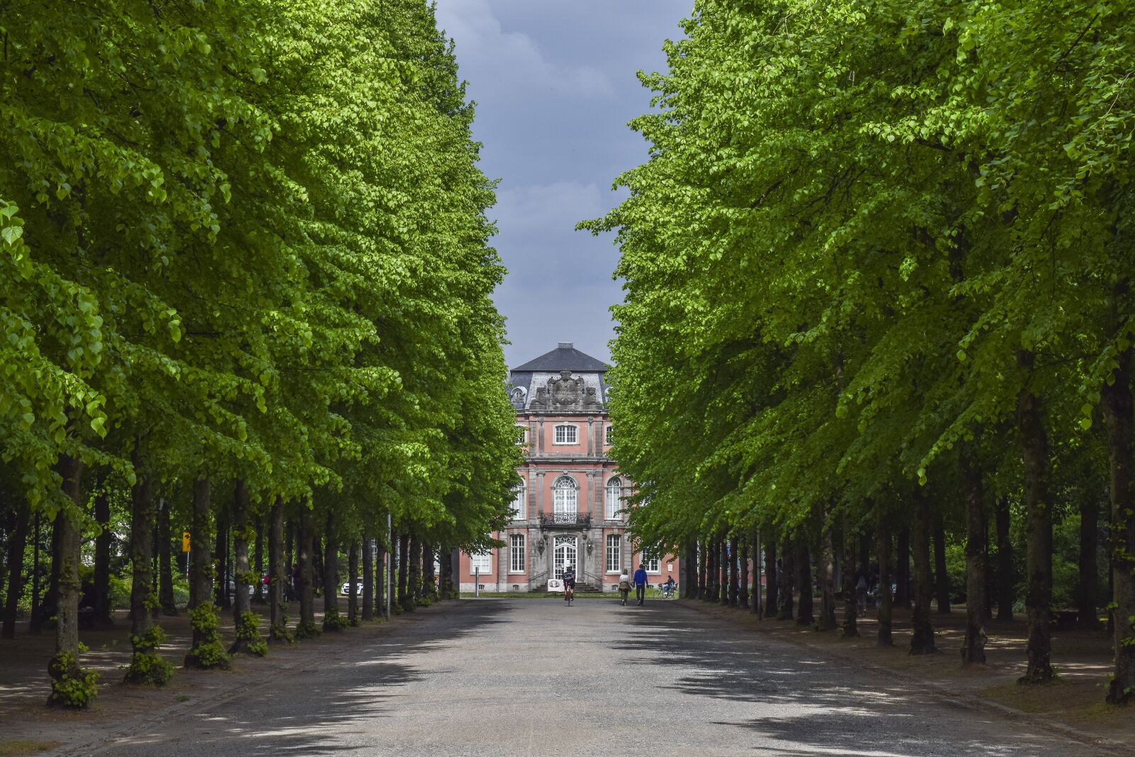 Nikon D3300 sample photo. Avenue, trees, away photography