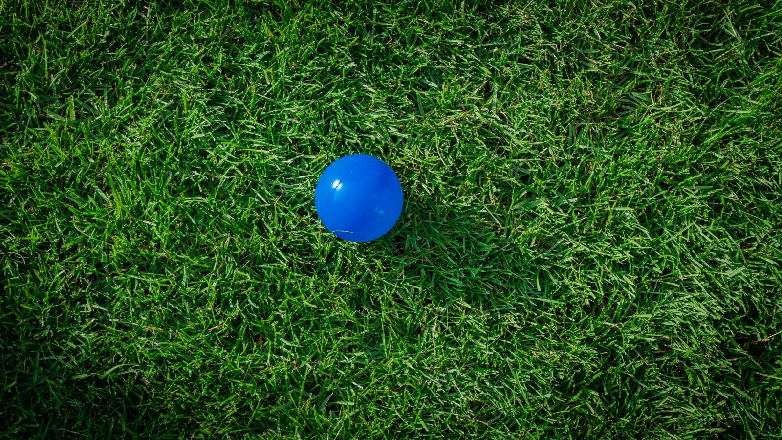 Sony a7 II + Sony FE 28-70mm F3.5-5.6 OSS sample photo. Rush, green, grass photography