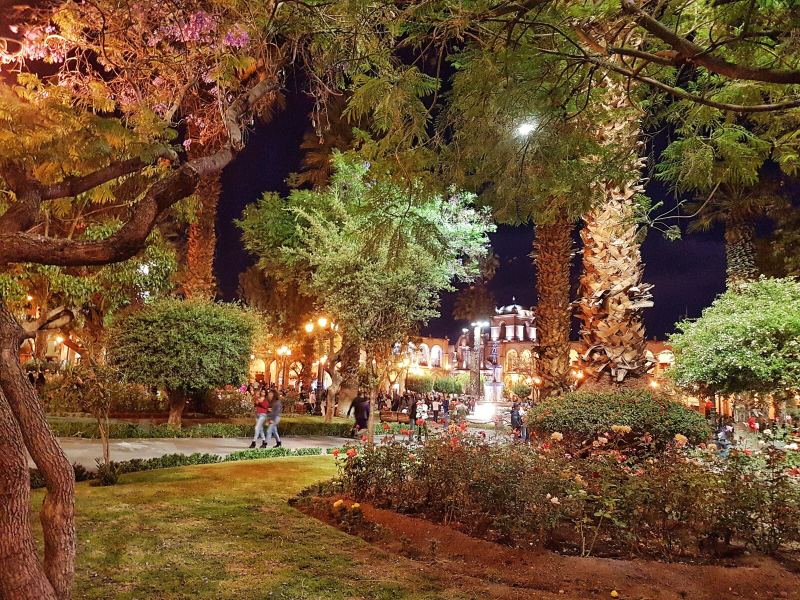 Samsung Galaxy S7 sample photo. Park, nature, night photography