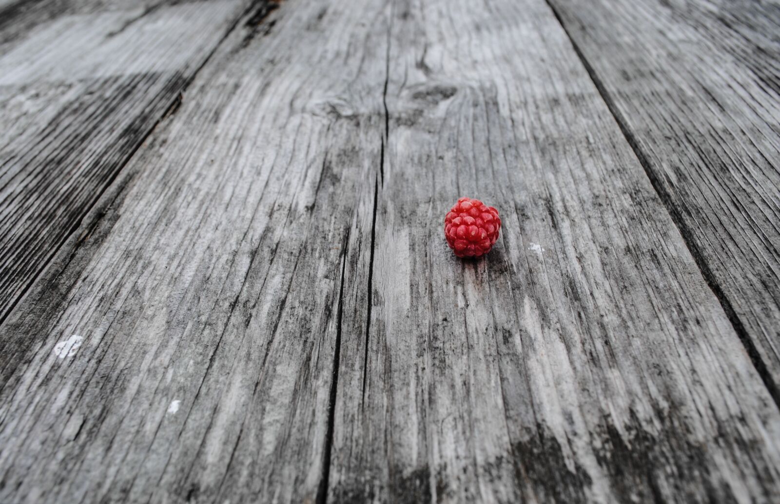 Nikon D3000 sample photo. Raspberry, wood, red photography