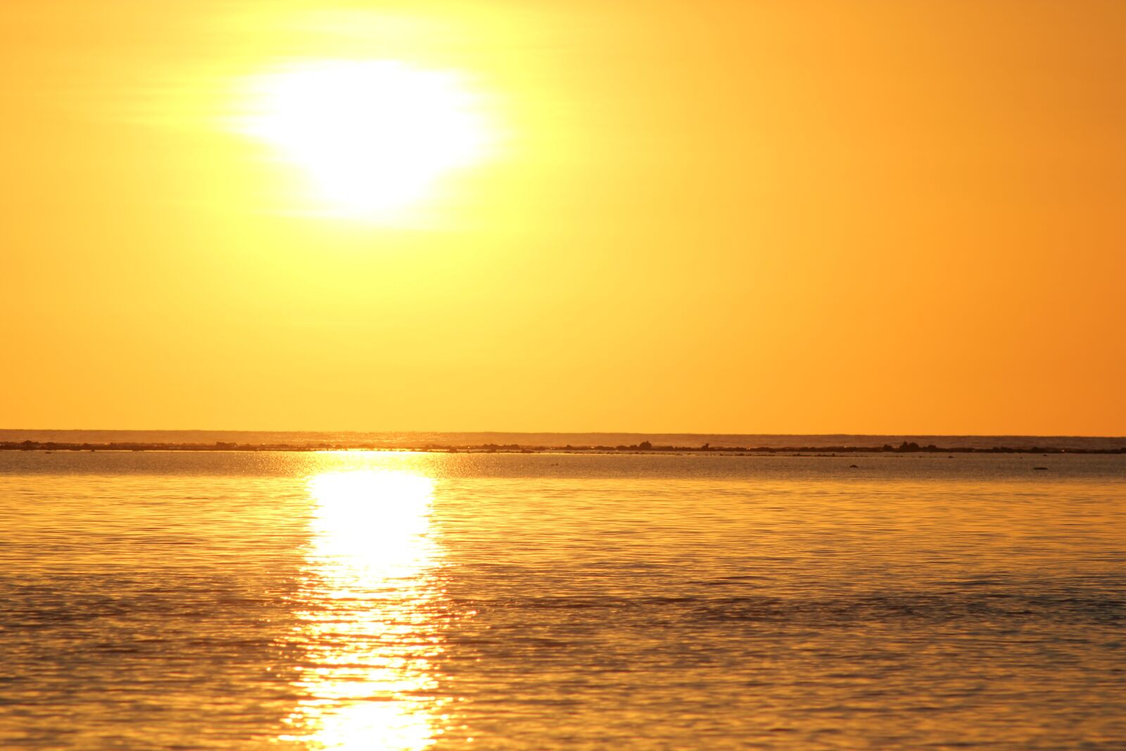 Canon EOS 550D (EOS Rebel T2i / EOS Kiss X4) sample photo. Sun, sunset, reflection photography
