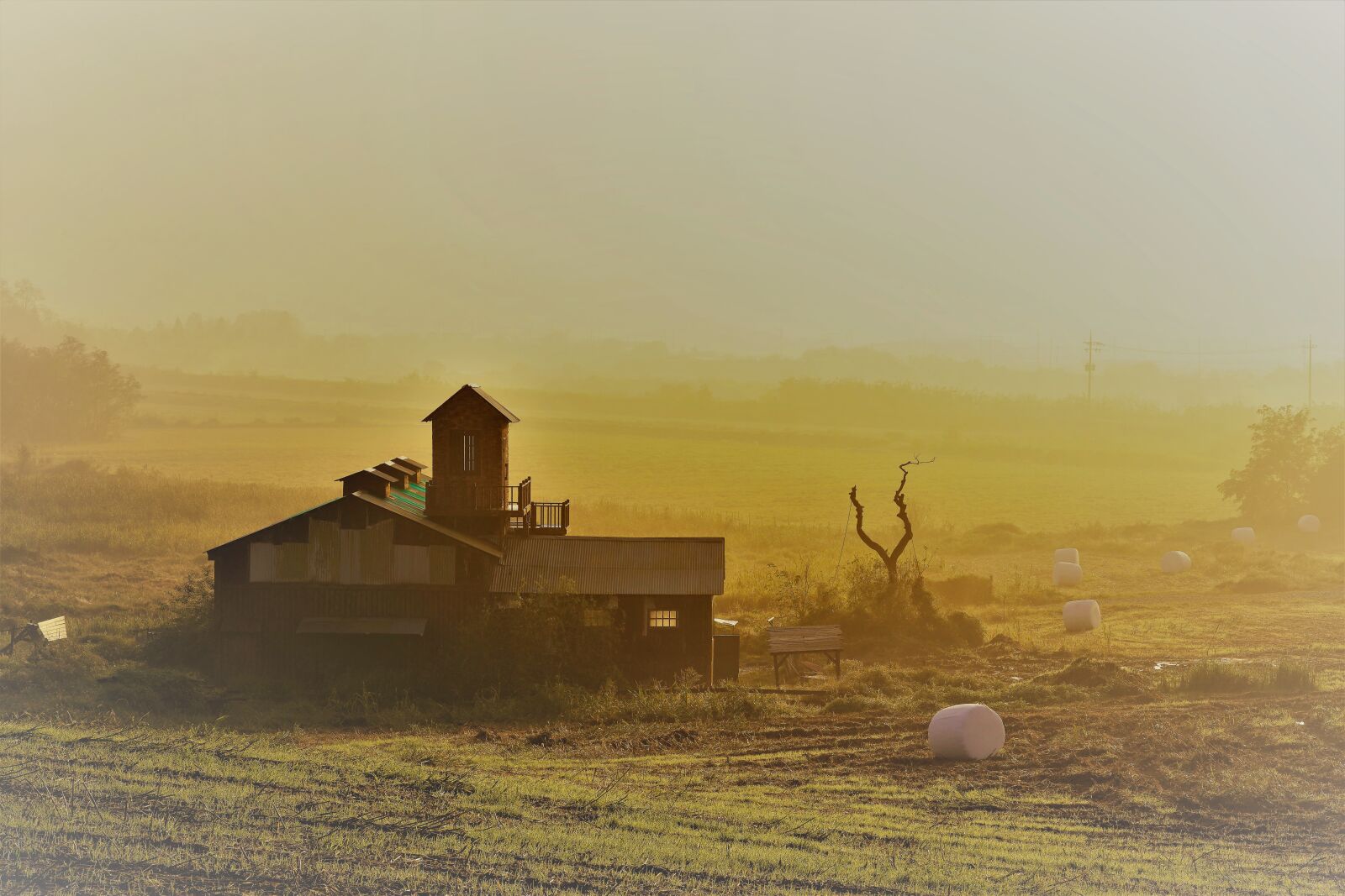 Sony FE 24-105mm F4 G OSS sample photo. Ranch, morning, fog photography