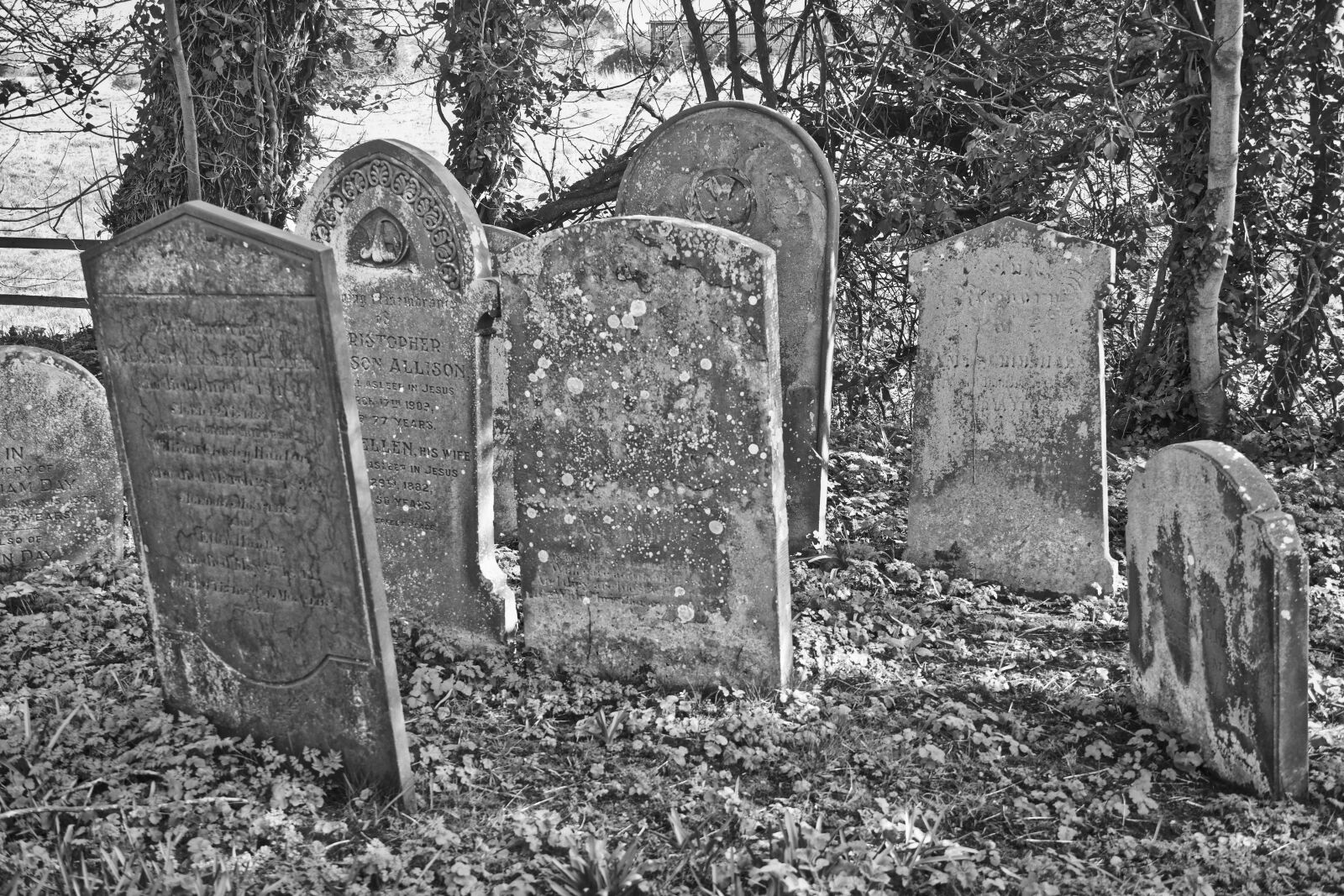 Sony a6500 sample photo. Epitaph, graves, gravestones photography