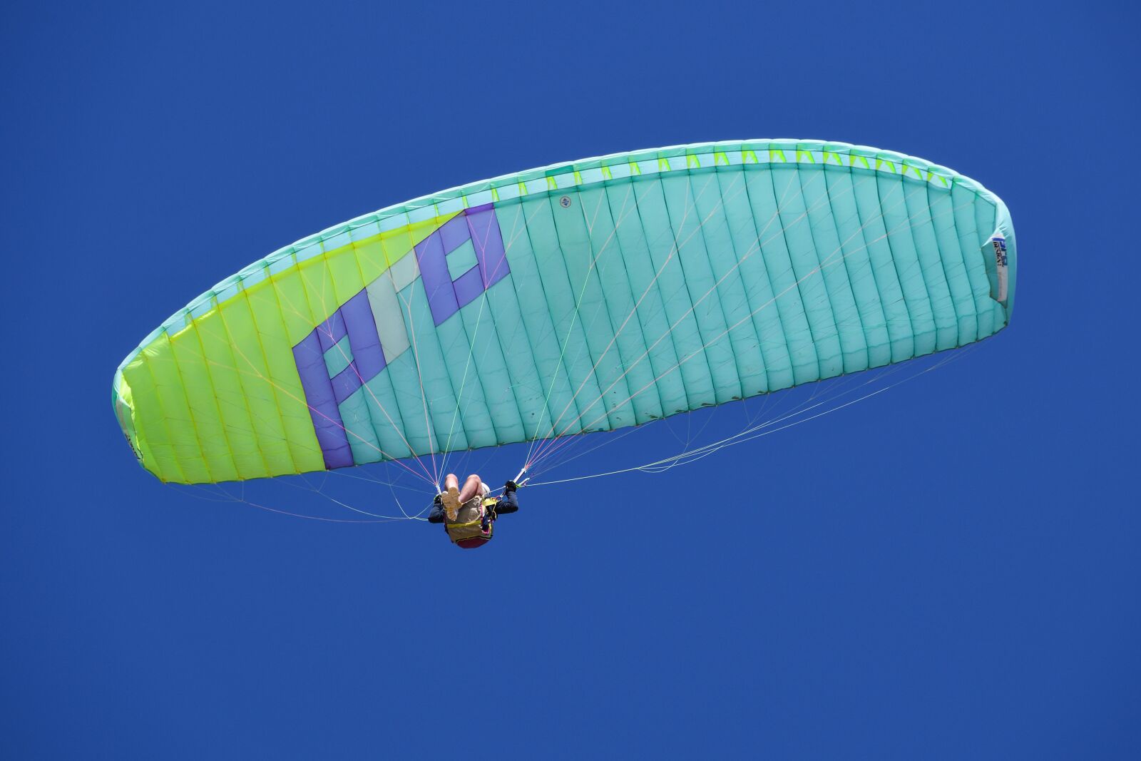 Nikon D500 sample photo. Paragliding, fly, sport photography