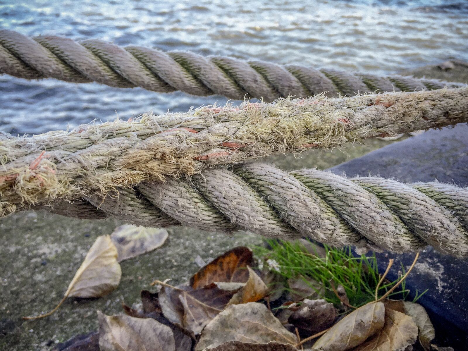 Apple iPhone 6 sample photo. Rope, knot, ship photography