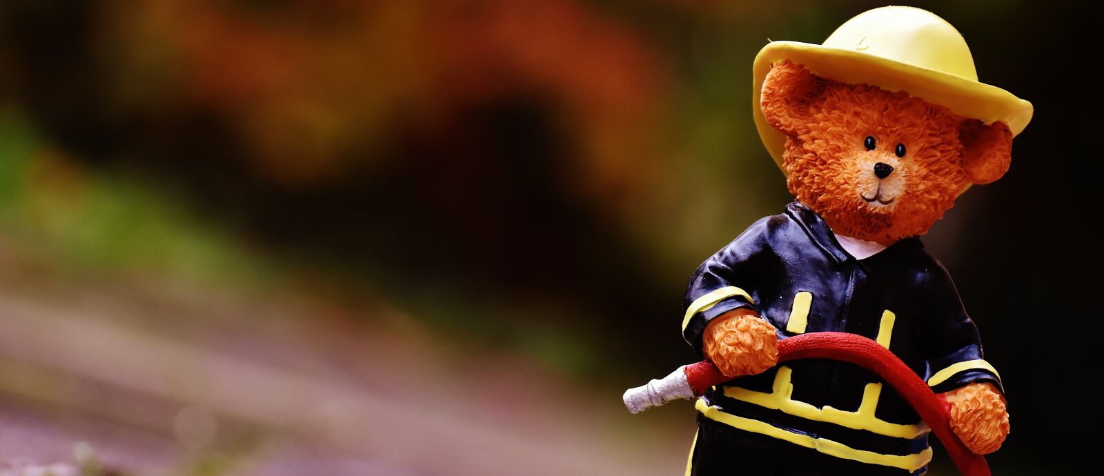 Nikon D7200 sample photo. Bear, profession, fire fighter photography