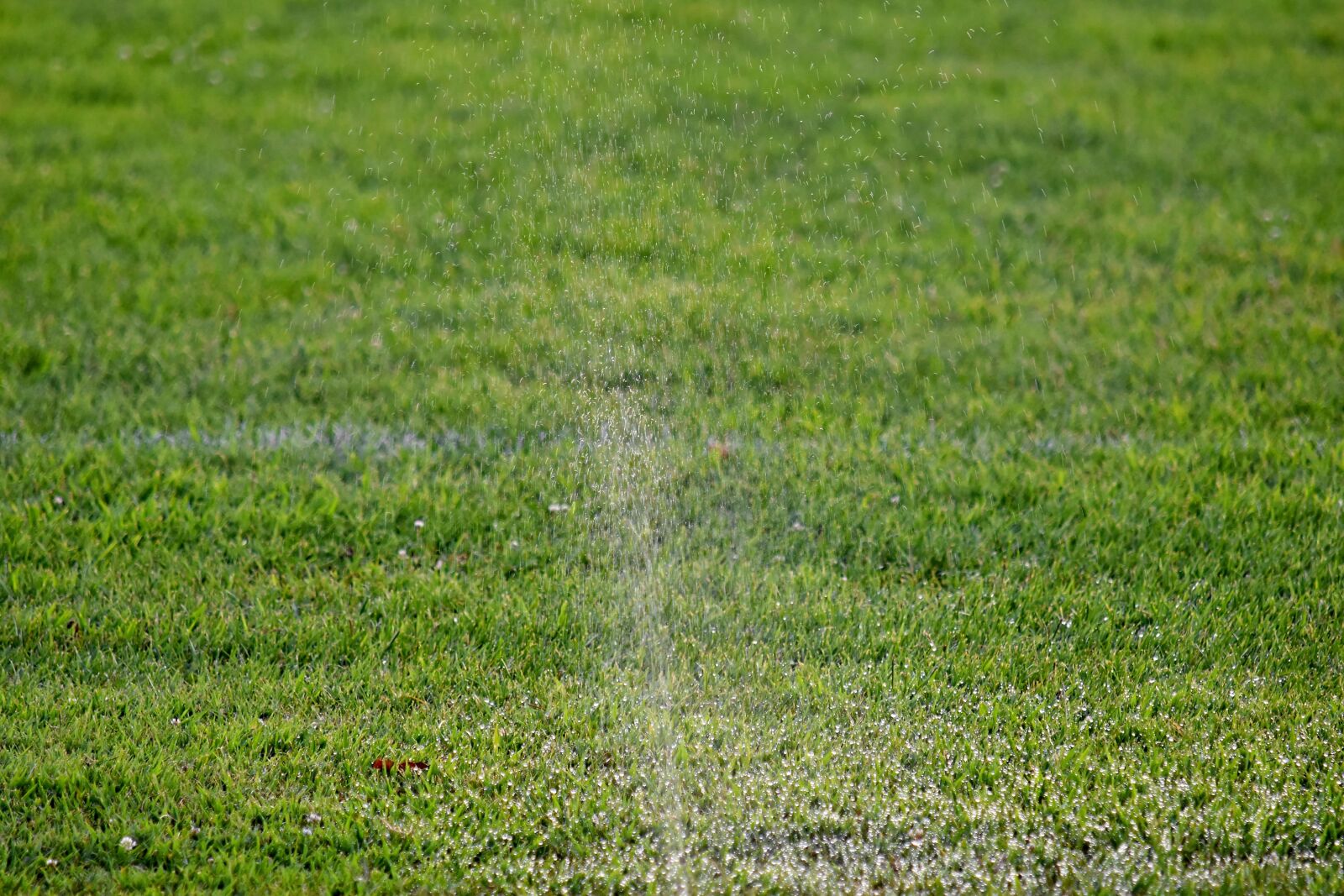 Nikon D5500 sample photo. Irrigation, water, grass, meadow photography