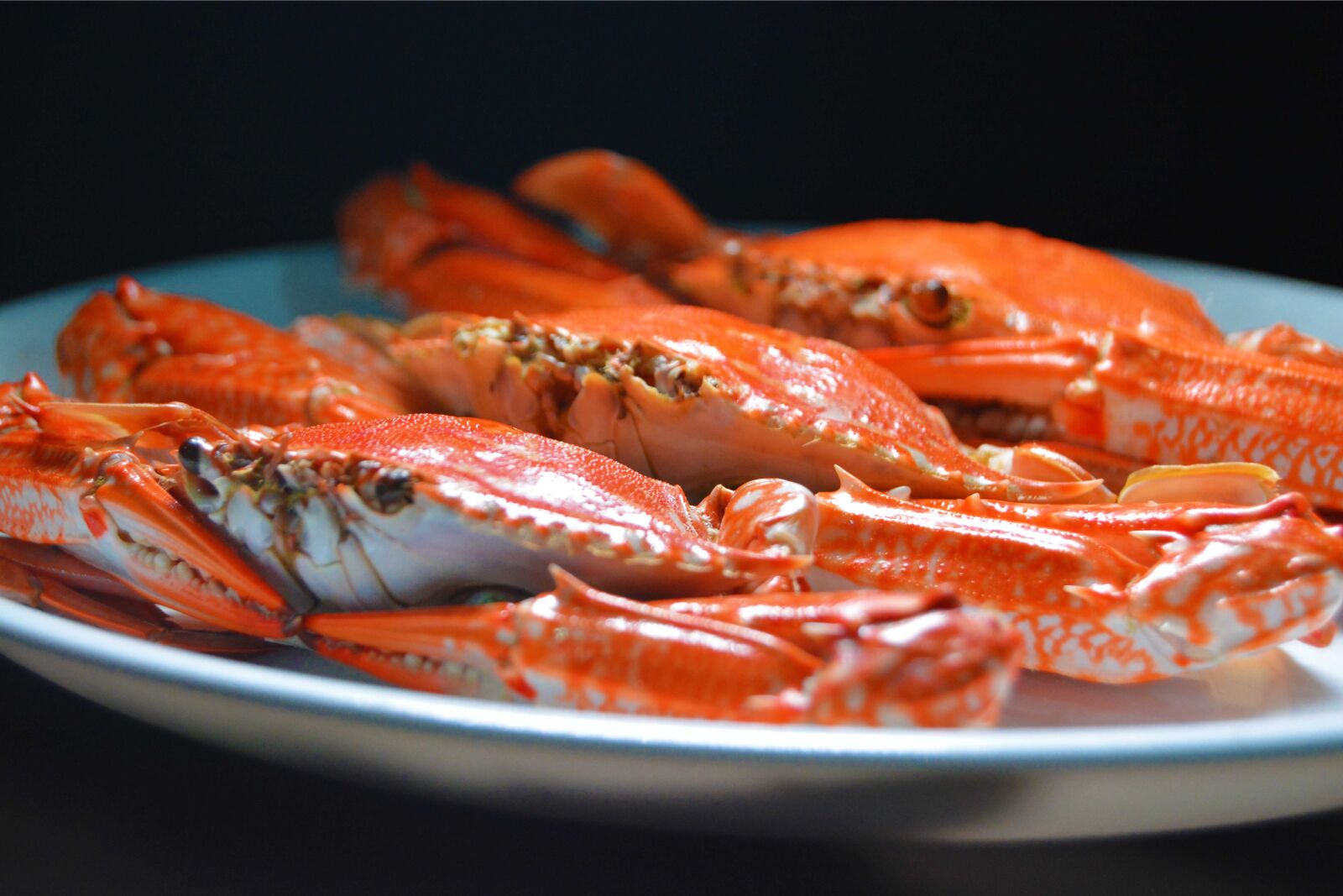 Nikon D5200 sample photo. Frozen blue swimming crabs photography
