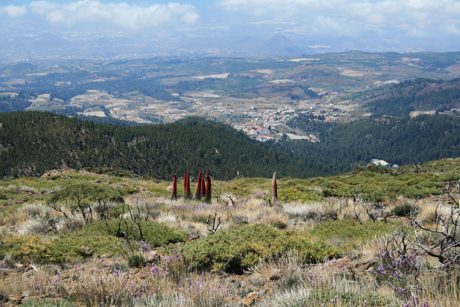 Canon EOS 400D (EOS Digital Rebel XTi / EOS Kiss Digital X) sample photo. Canary islands, teide national photography