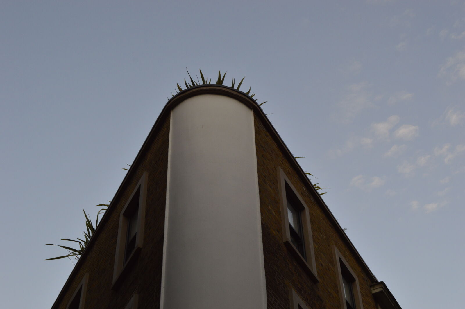 Nikon D3200 sample photo