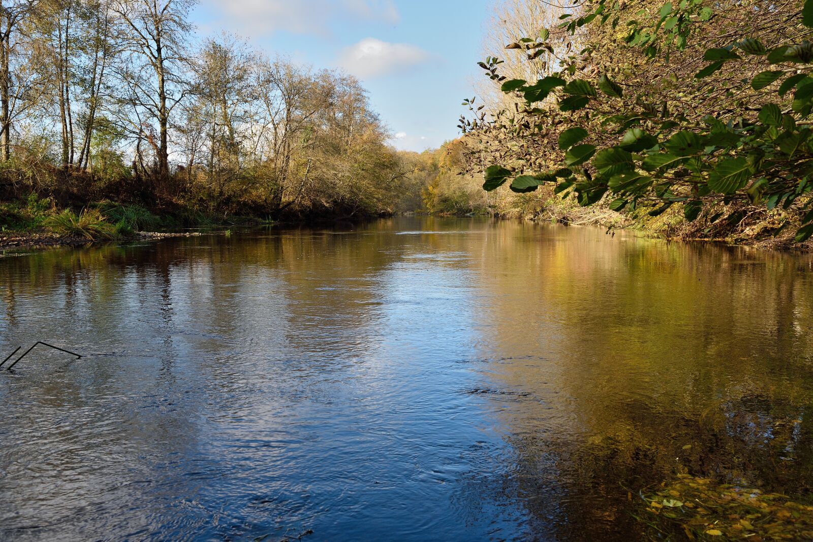 Nikon D750 sample photo. Water, trees, river photography