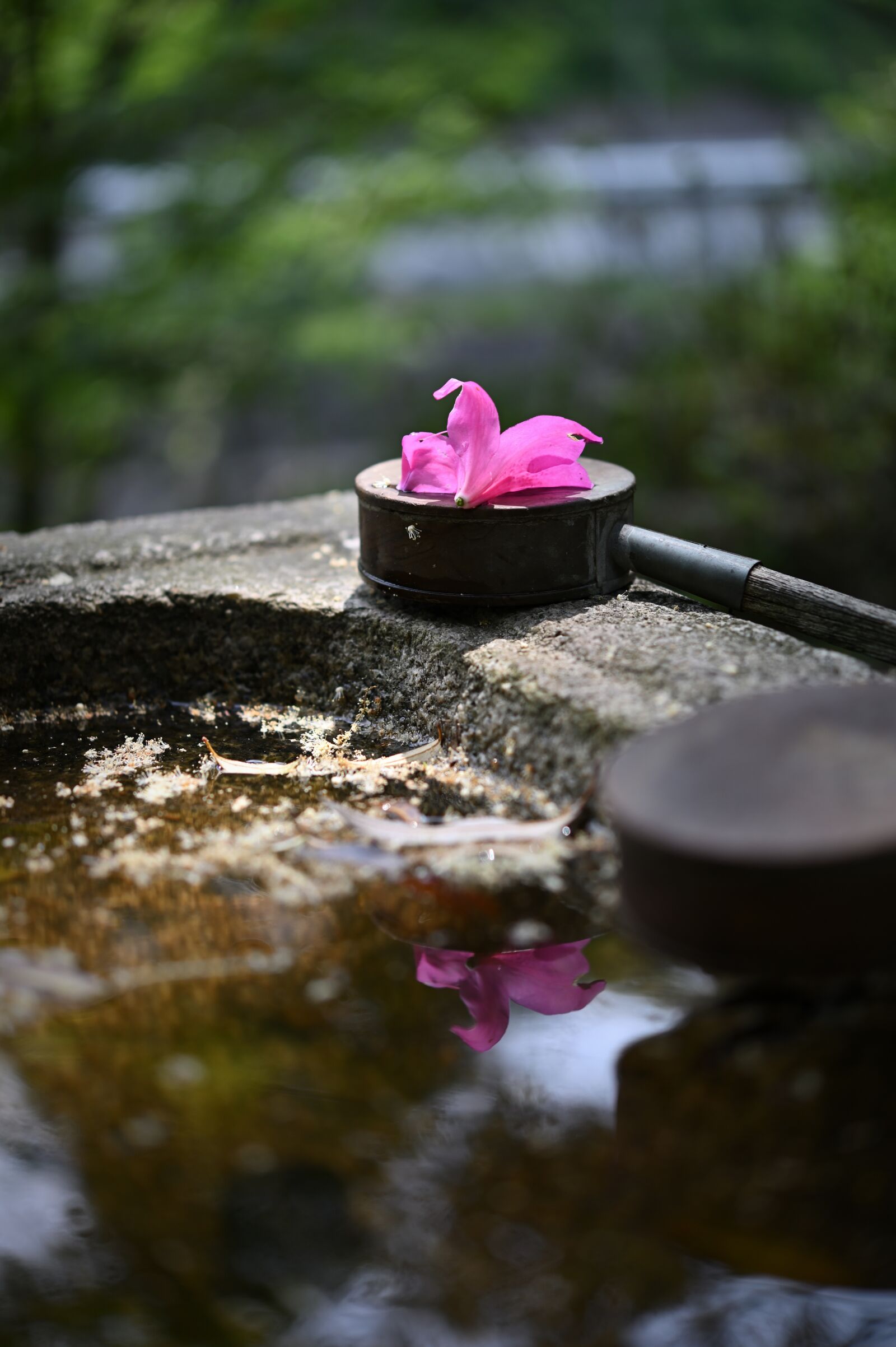 Nikon Z6 sample photo. Shrine, japan, culture photography