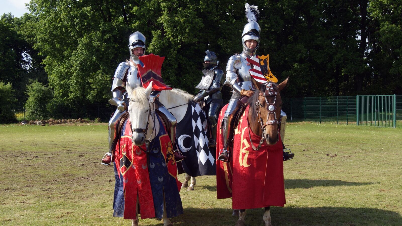 Sony Alpha DSLR-A230 sample photo. Medieval, knight, middle ages photography