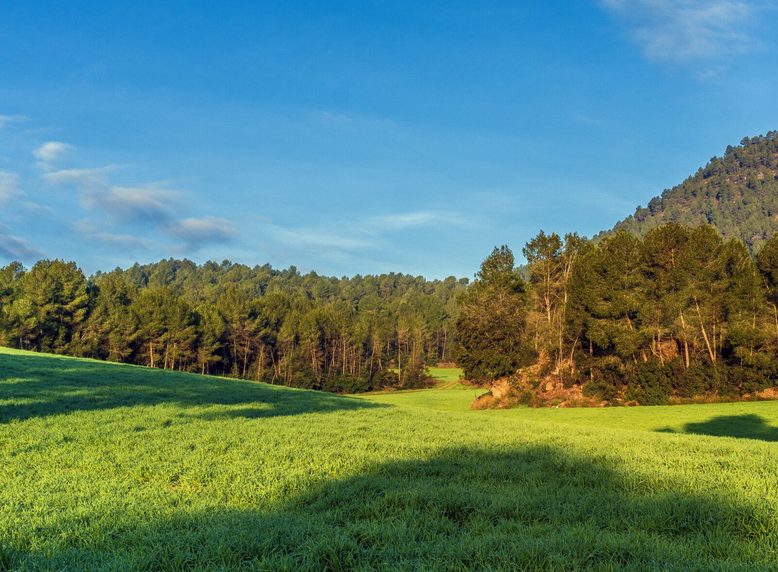 Sony E 16-50mm F3.5-5.6 PZ OSS sample photo. Lawn, nature, landscape photography