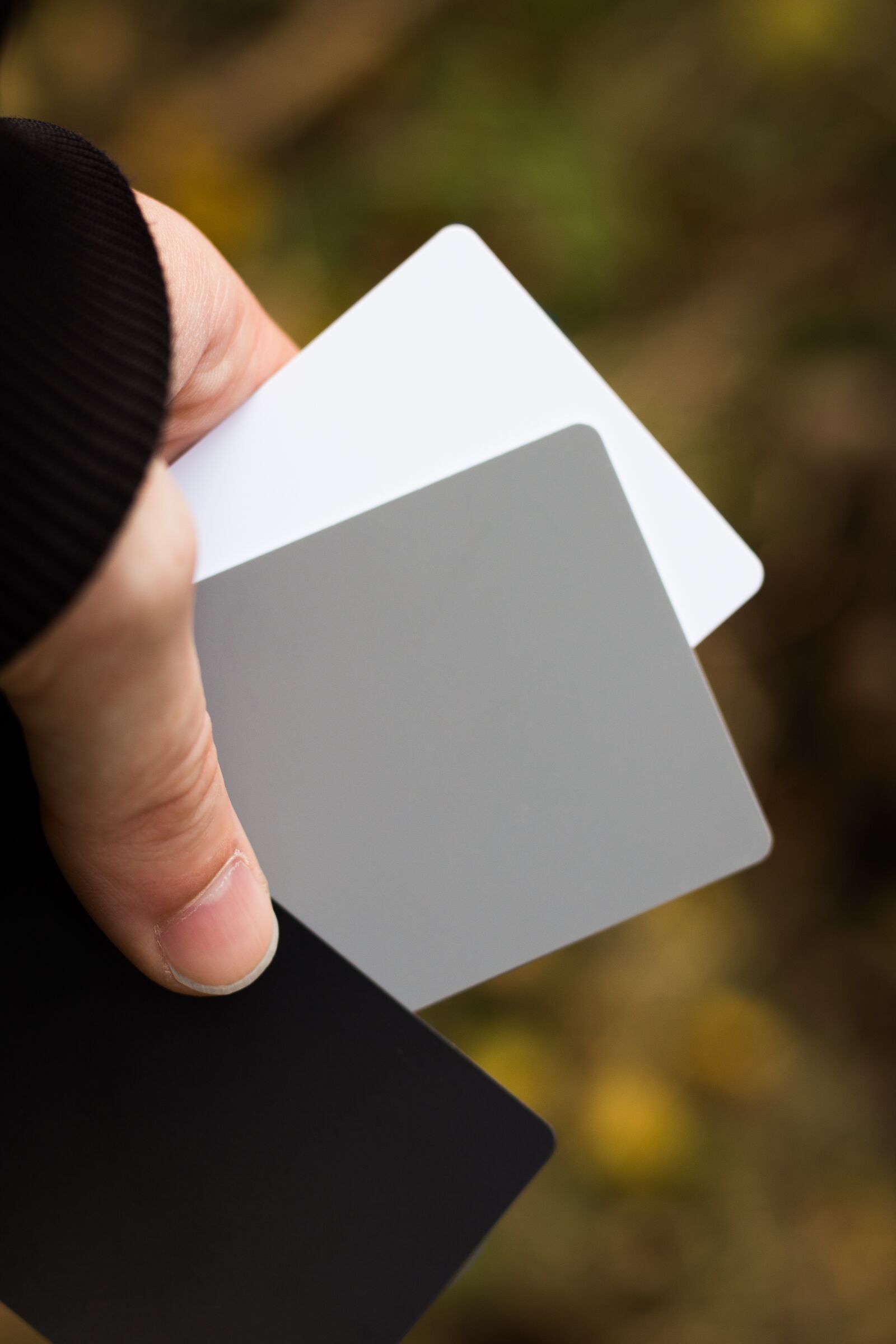 Canon EOS 700D (EOS Rebel T5i / EOS Kiss X7i) sample photo. Card, cards, hand photography