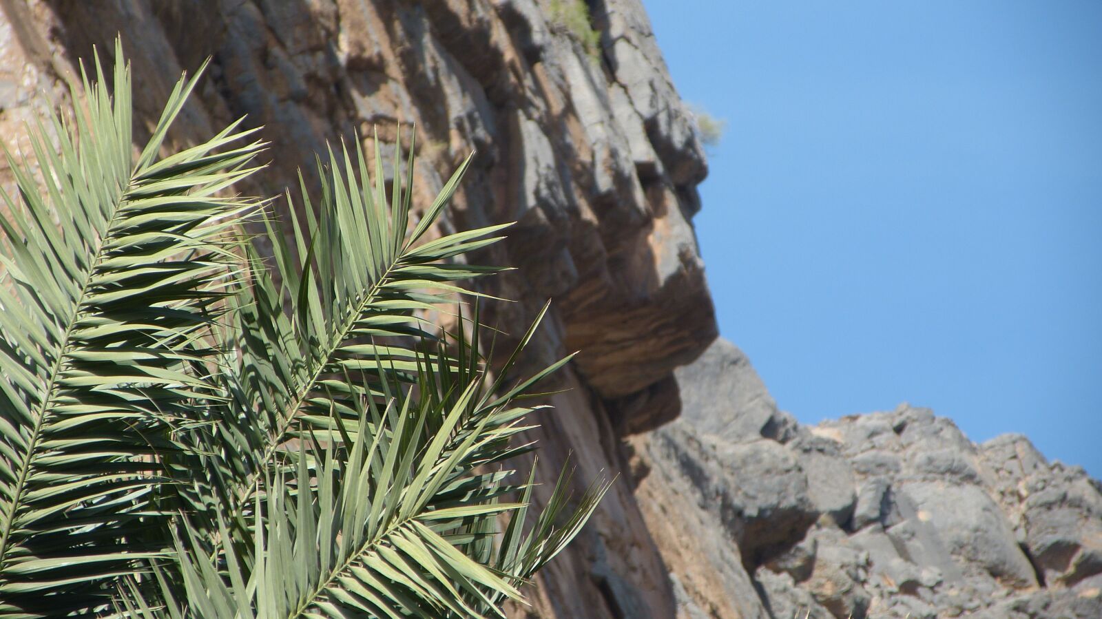 Panasonic Lumix DMC-FZ150 sample photo. Palm, mountain, slope photography