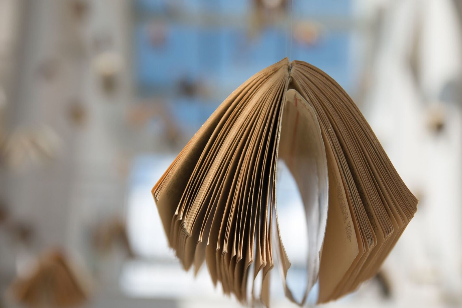 Canon EOS 70D sample photo. Book, decoration, shop, bookshop photography