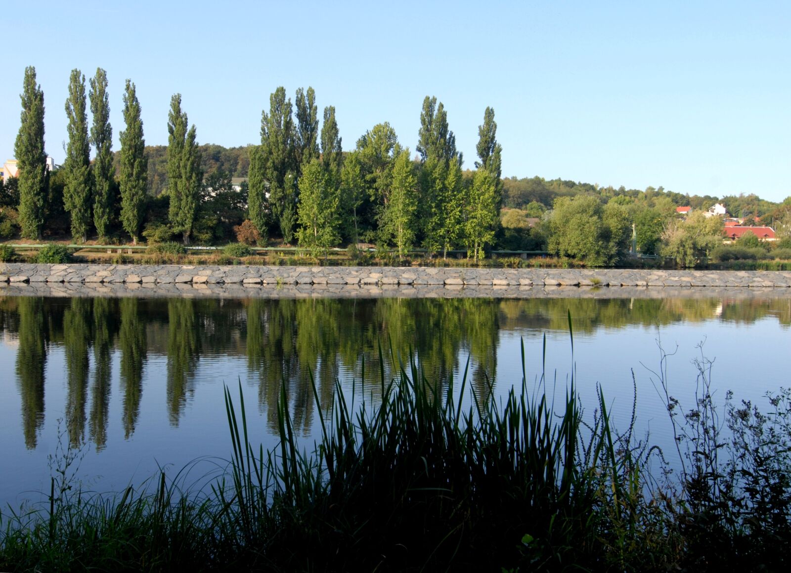 Nikon D200 sample photo. Reflection, water, poplars photography