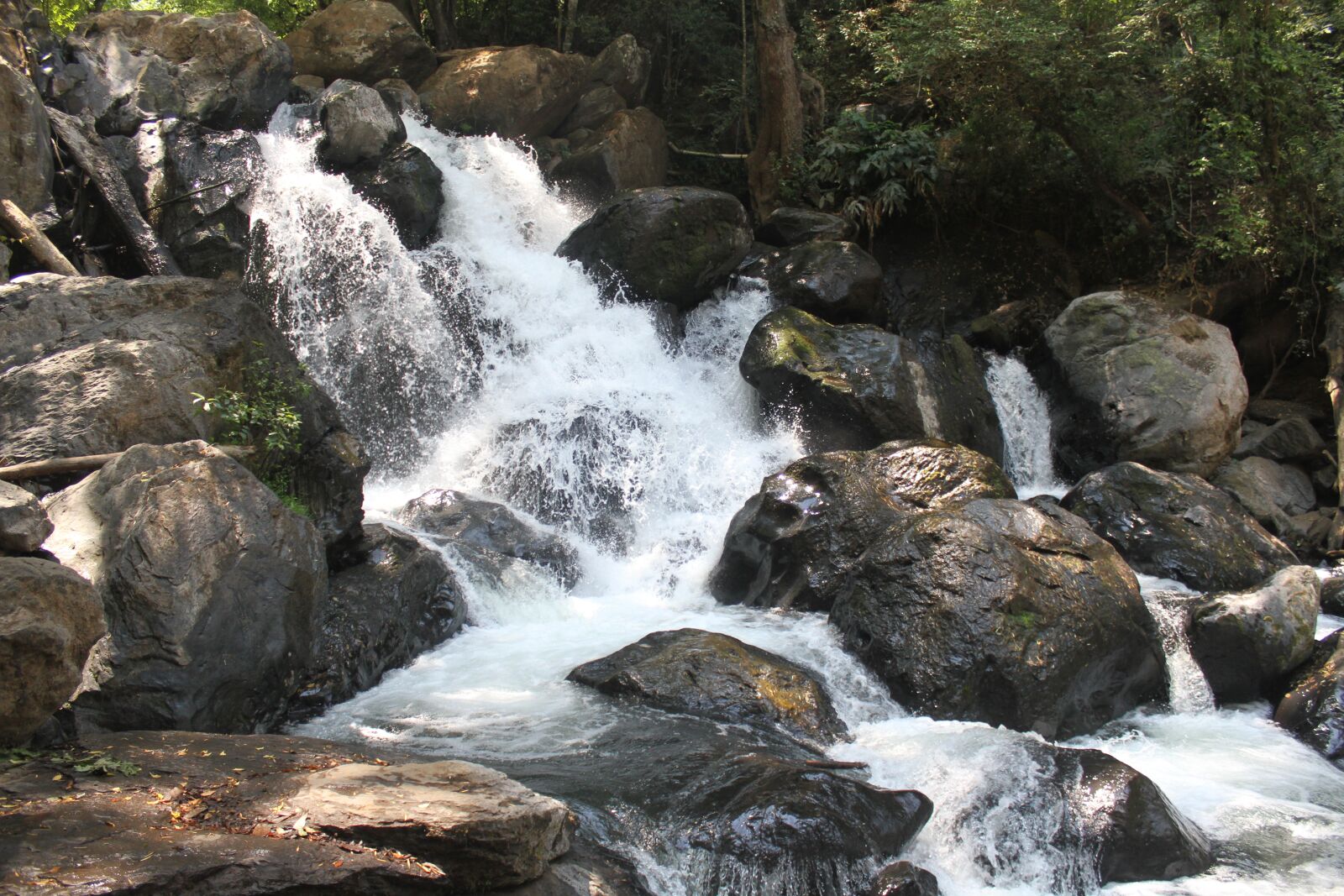 Canon EOS 7D sample photo. River, méxico, cascada photography