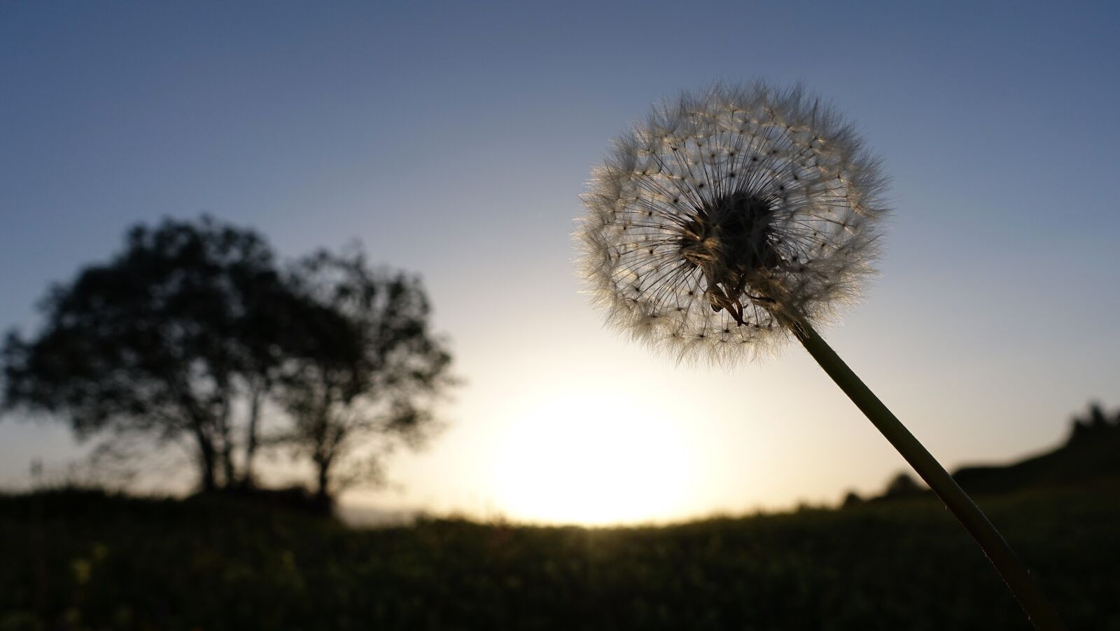 Sony Cyber-shot DSC-RX100 IV sample photo. Sunset, meditation, nature photography