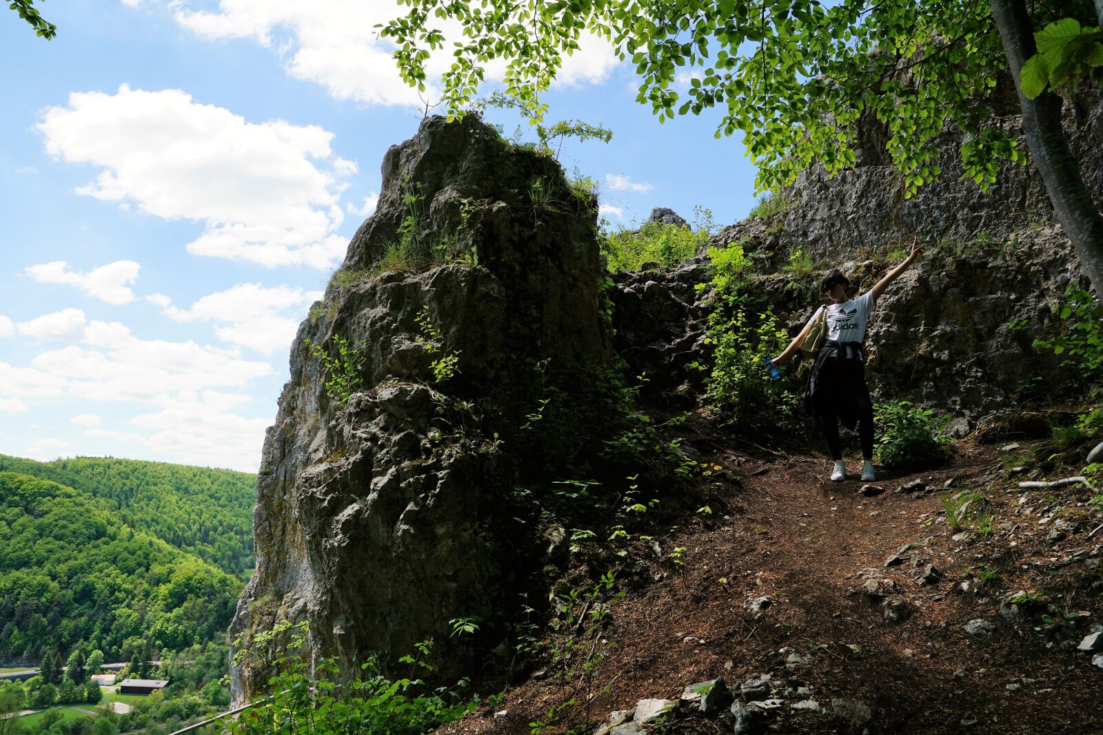 Sony ILCA-77M2 + Sony DT 16-50mm F2.8 SSM sample photo. Blaubeuren, germany, nature photography