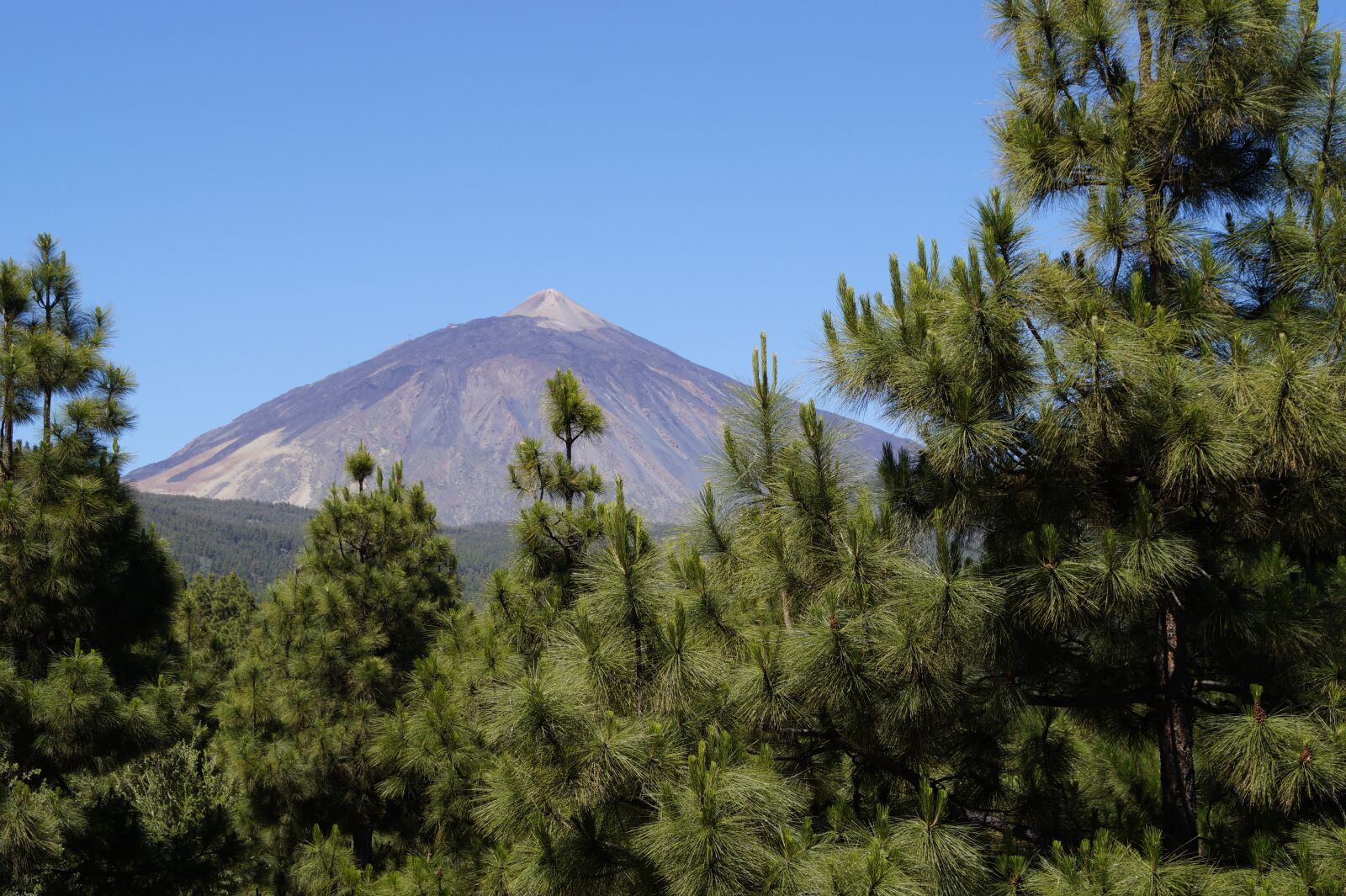 Sony SLT-A58 sample photo. Teide, tenerife, volcano photography