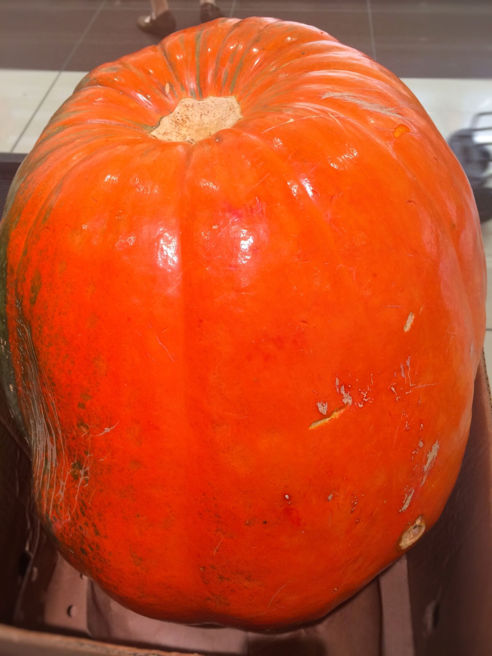 iPhone 5s back camera 4.15mm f/2.2 sample photo. Very big, pumpkin, halloween photography