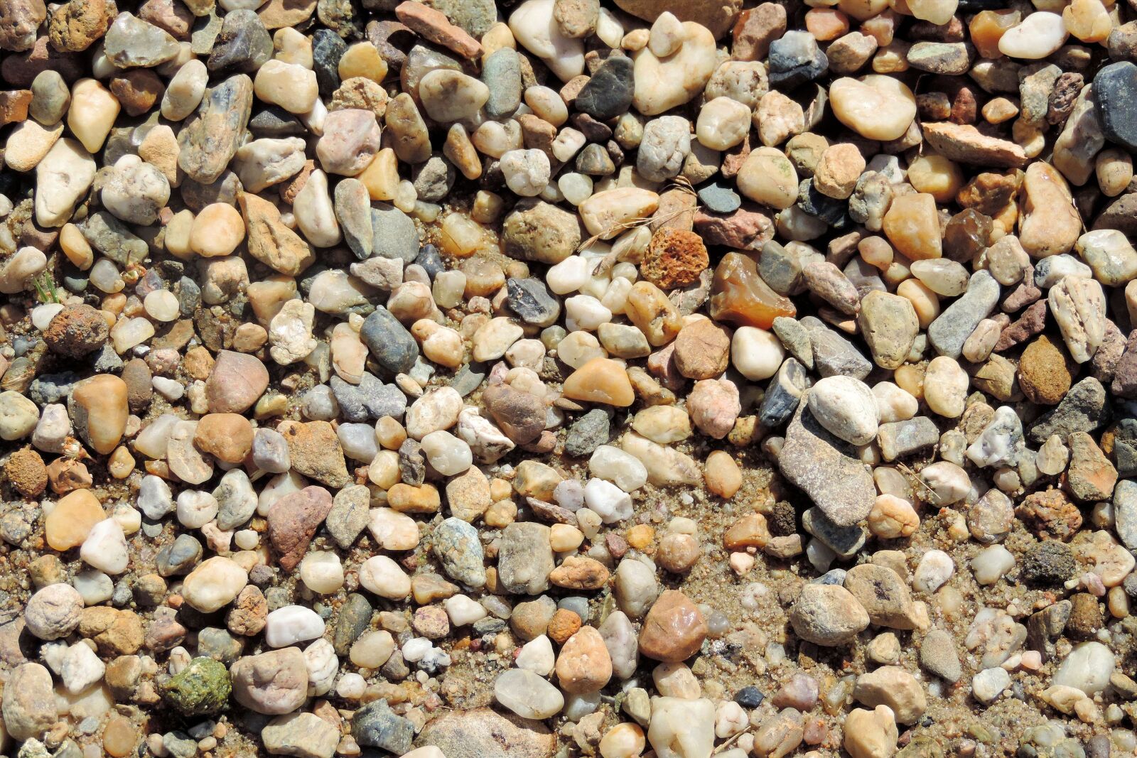 Nikon Coolpix P520 sample photo. Pebbles, pebble, bank photography