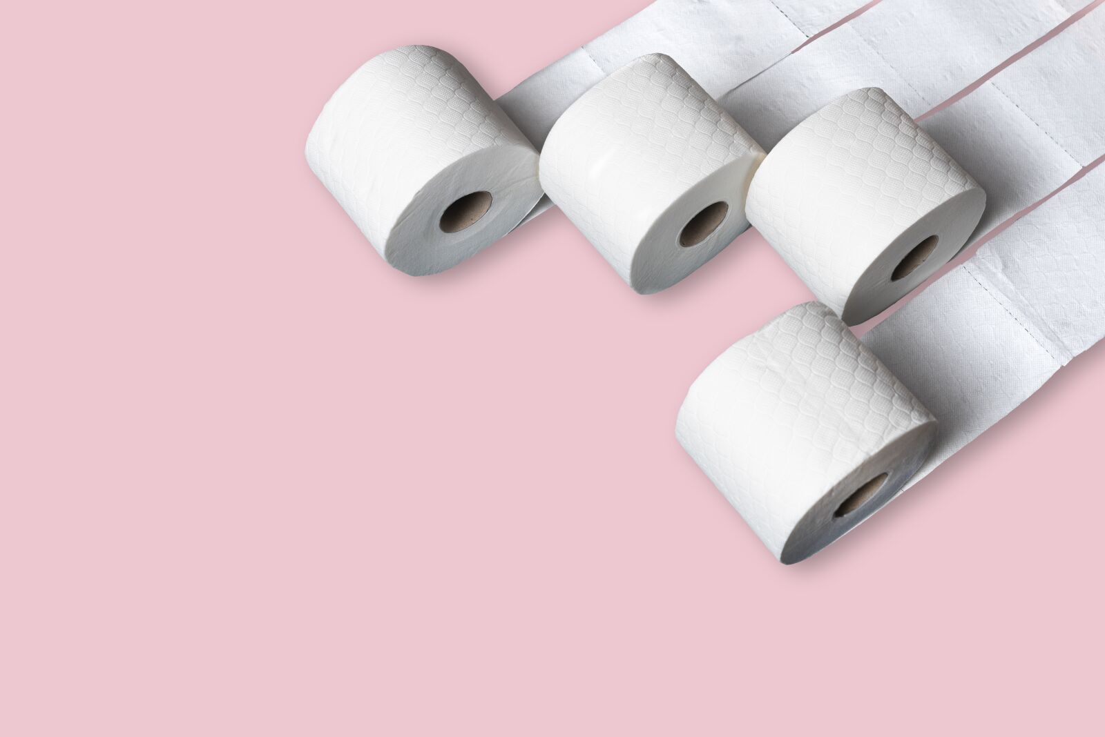 Nikon D750 sample photo. Toilet, paper, loo photography