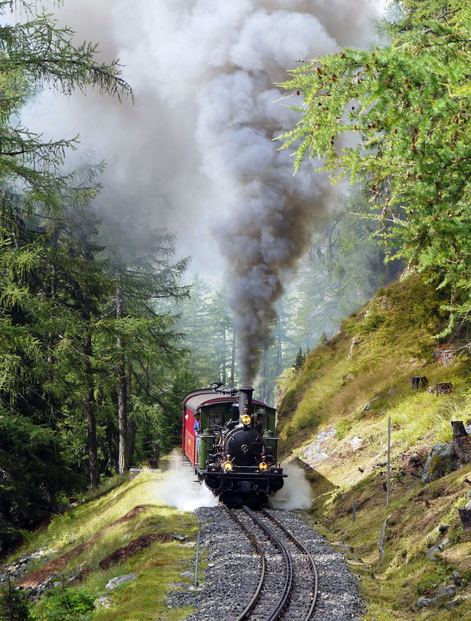 Panasonic Lumix DMC-G1 sample photo. Steam locomotive, narrow gauge photography