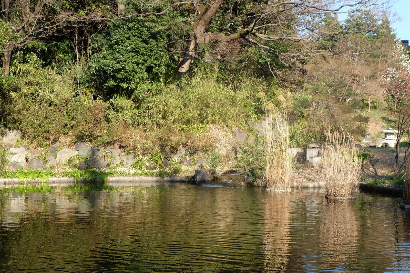 Fujifilm X-M1 sample photo