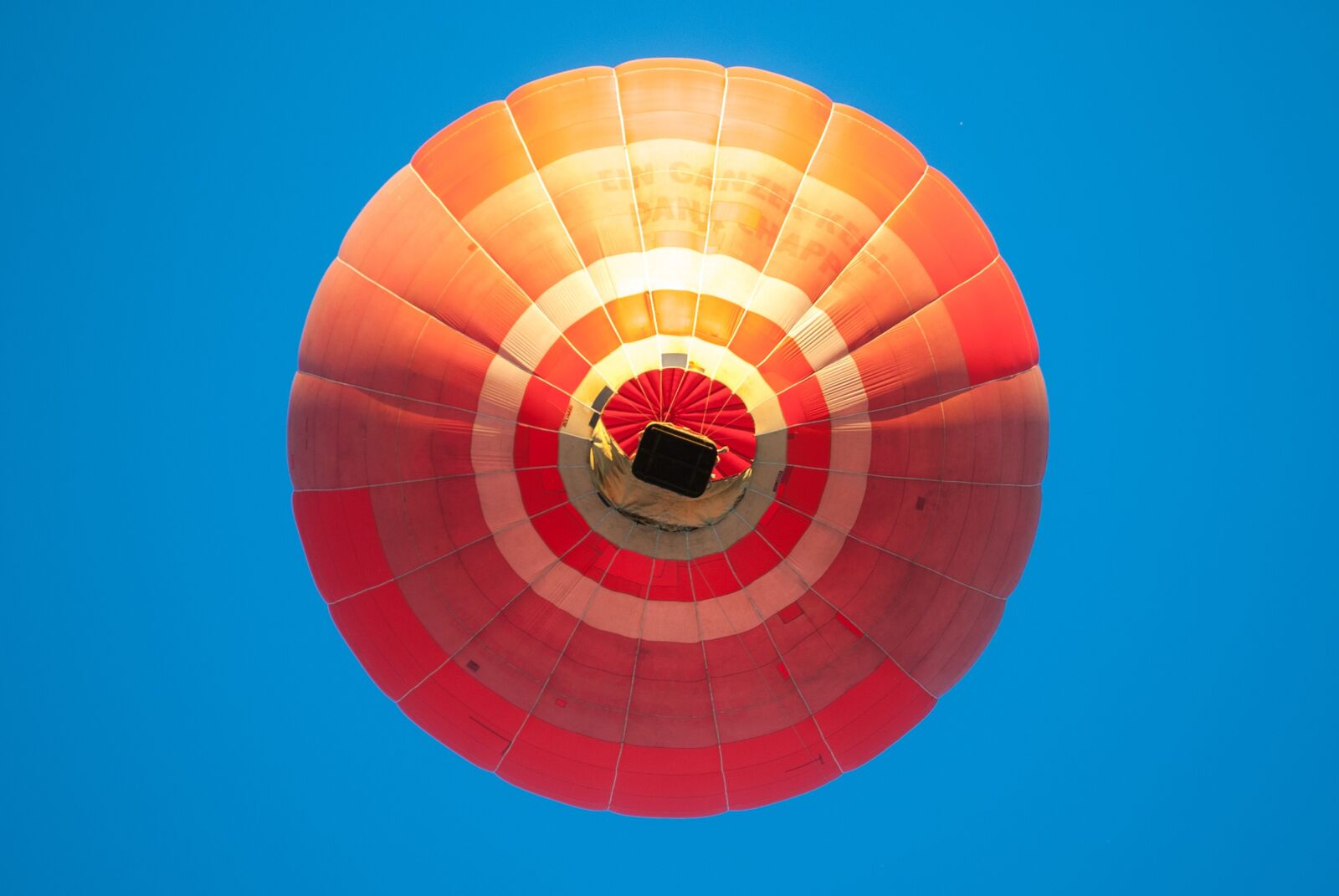 Nikon D60 sample photo. Hot air balloon, balloon photography