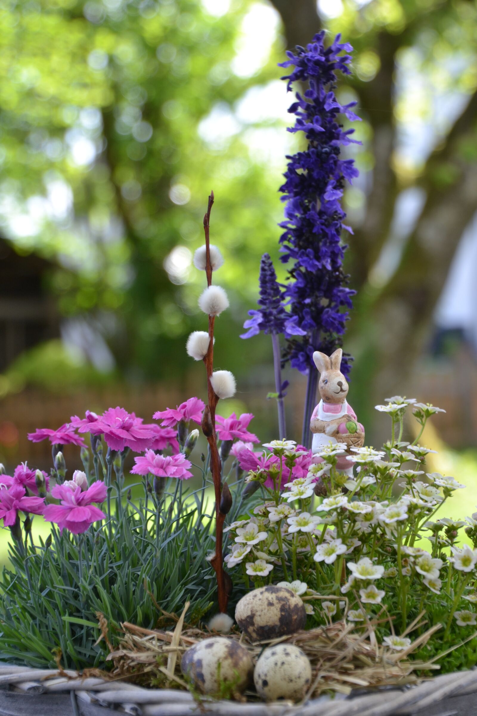 Nikon D3100 sample photo. Easter theme, easter pictures photography
