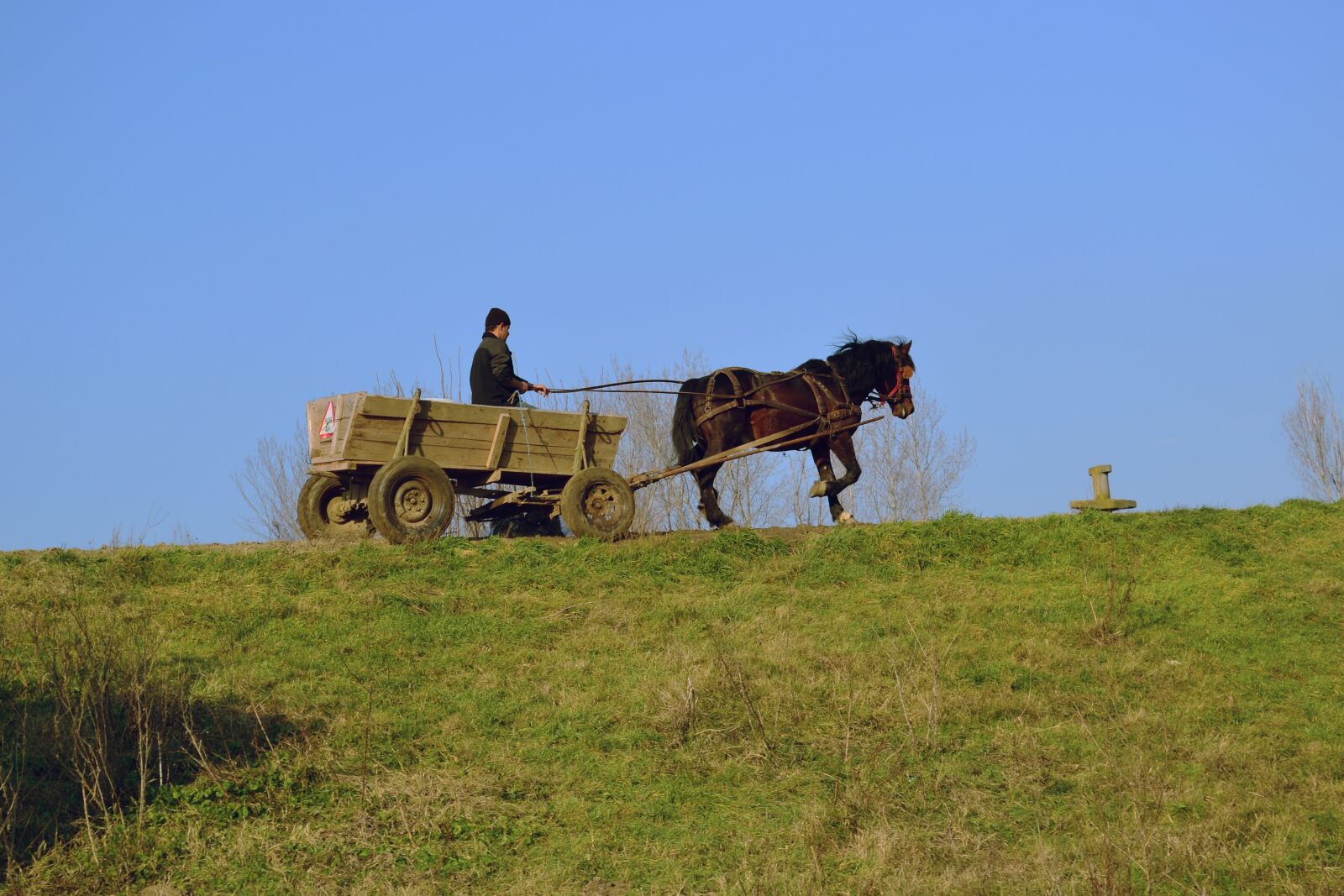 Nikon D3100 sample photo. Wagon, countryside, farm photography