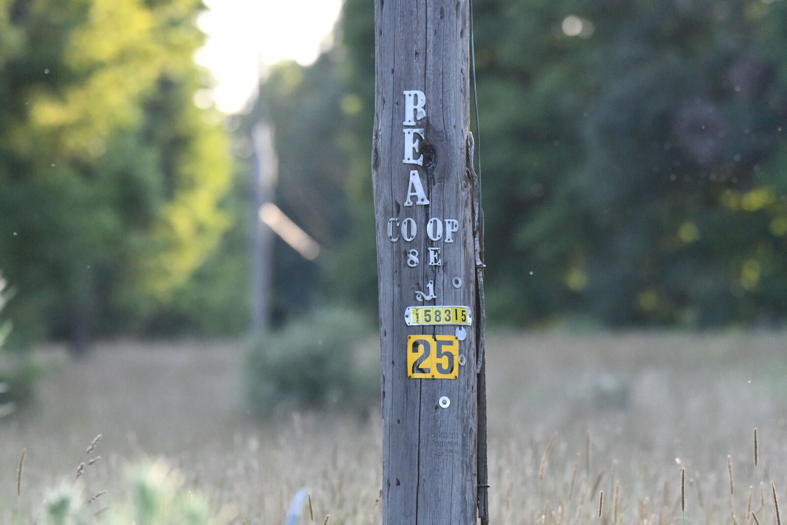 Nikon D850 sample photo. Number, sign, telephone photography