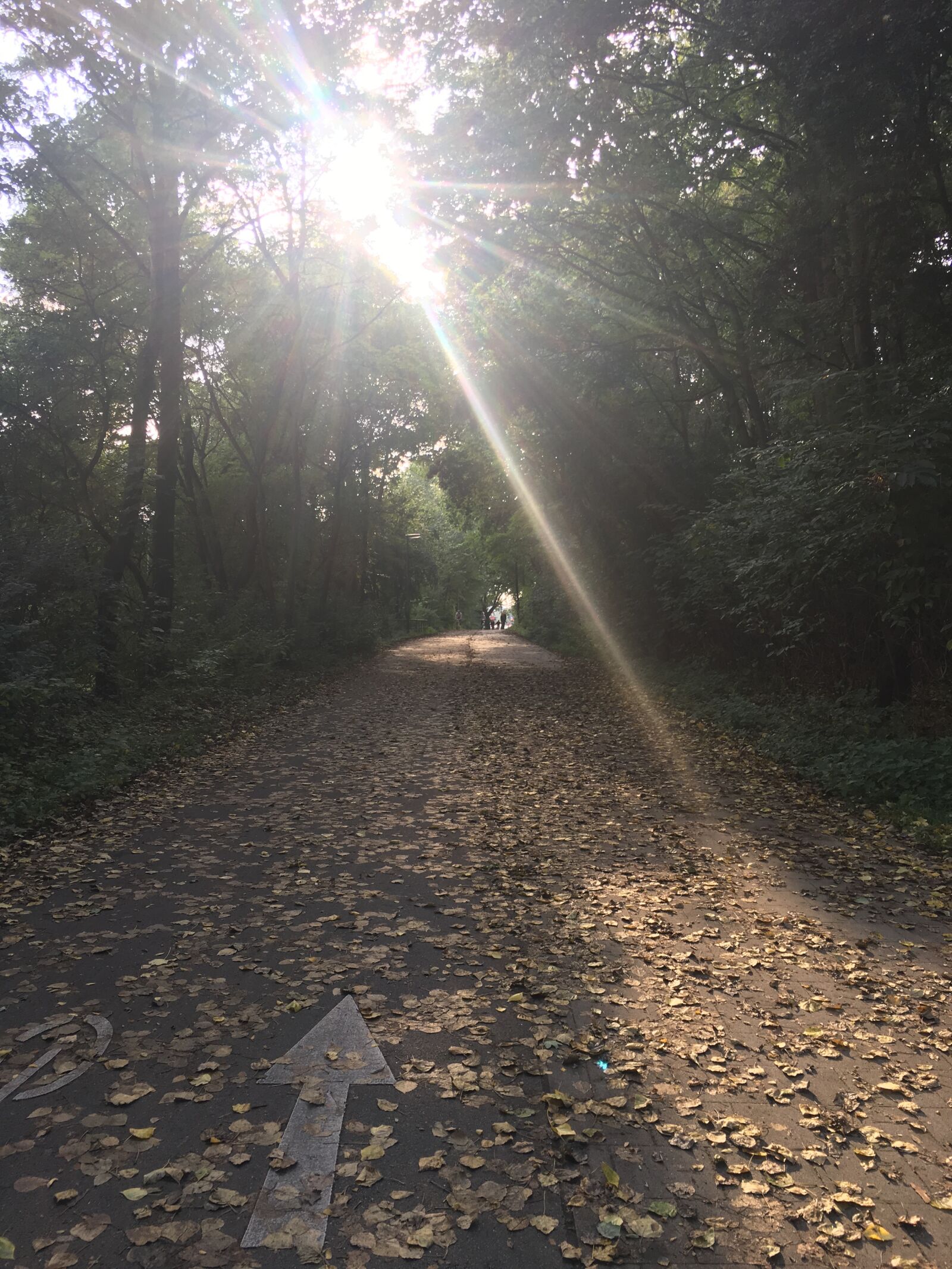 iPhone 6s Plus back camera 4.15mm f/2.2 sample photo. Autumn, city, park photography