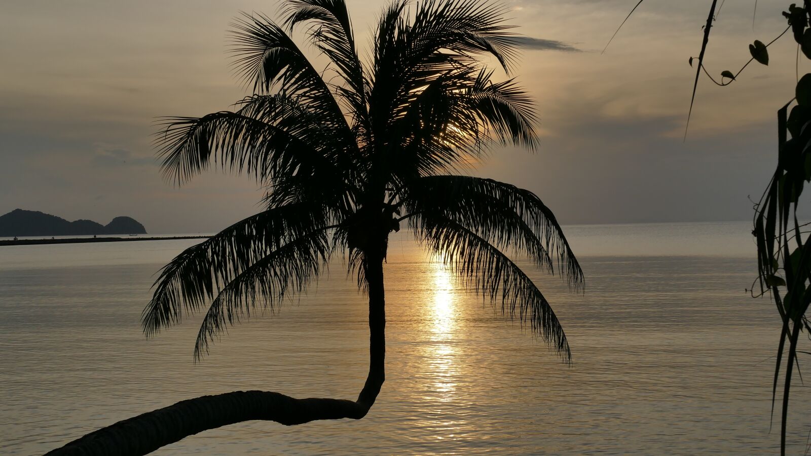 Leica V-Lux (Typ 114) sample photo. Sunset, silhouette, palm photography
