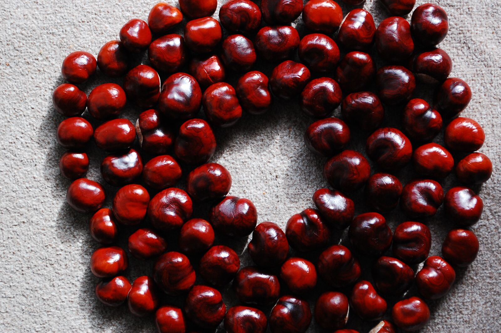 Nikon D40 sample photo. Chestnut, nuts, district photography