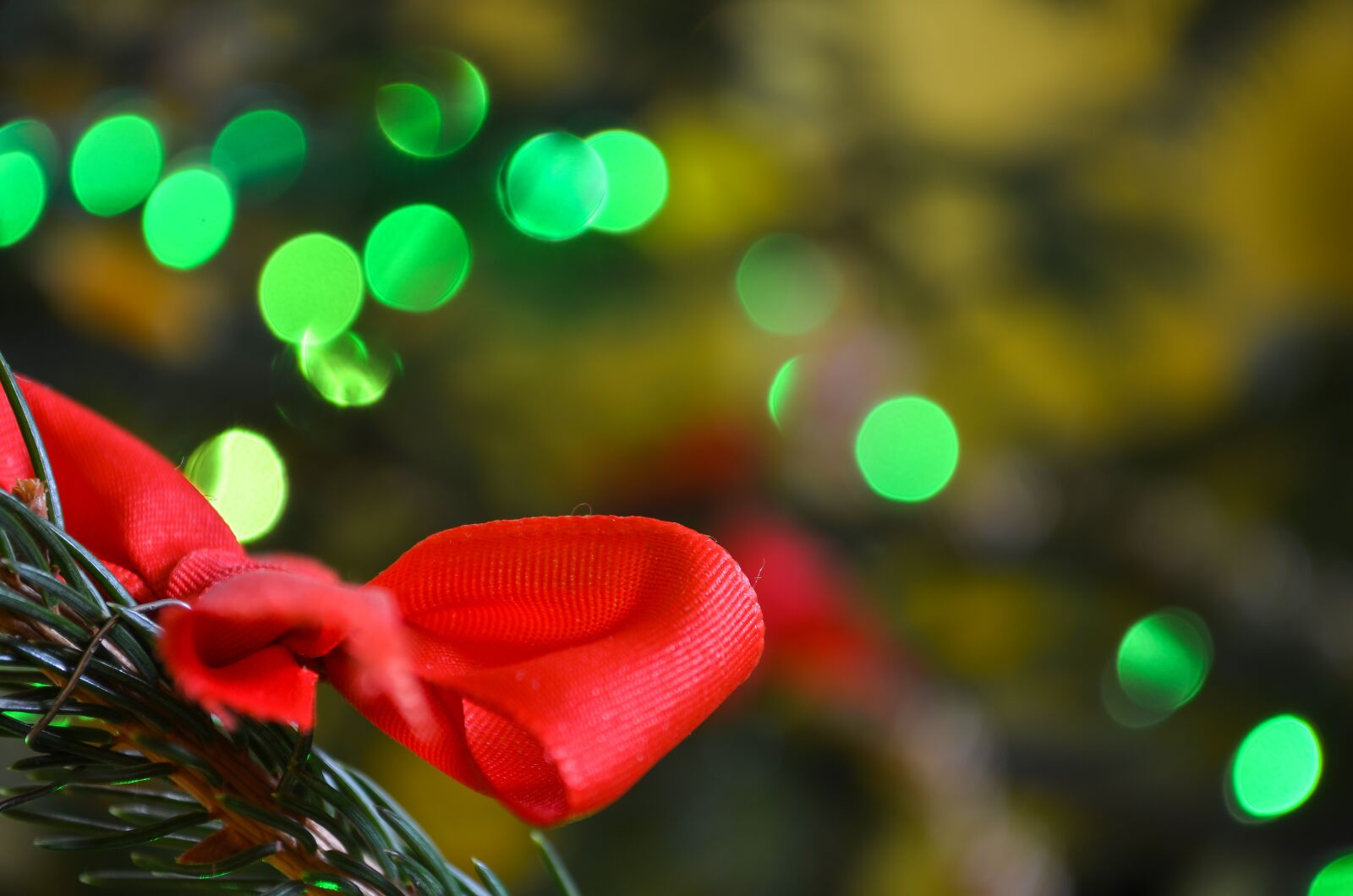 Nikon D5100 sample photo. Happy new year, 2017 photography