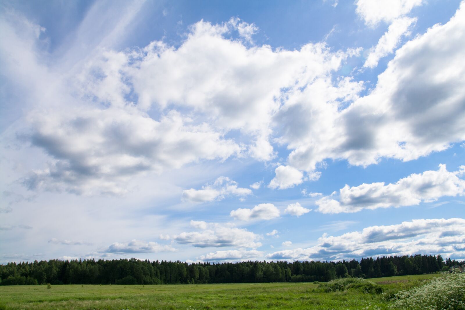 Canon EOS 400D (EOS Digital Rebel XTi / EOS Kiss Digital X) sample photo. Landscape, forest, field photography