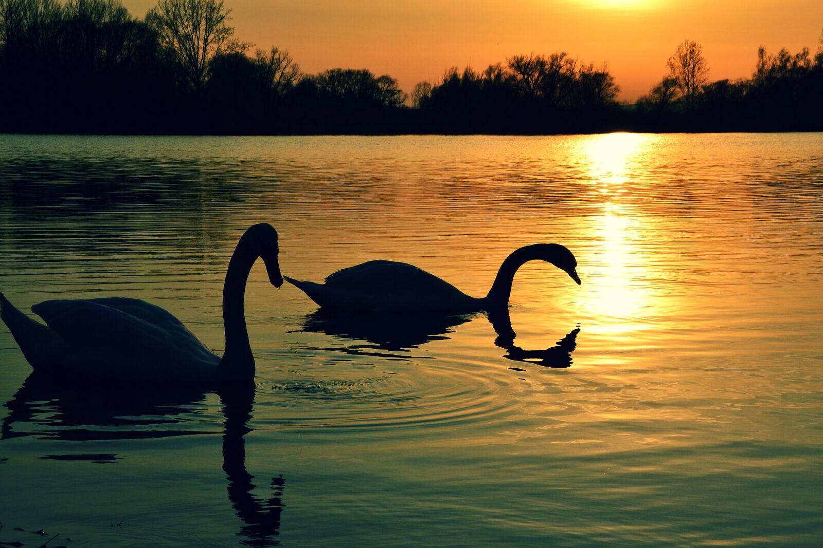 Nikon D3100 sample photo. Nature, water, lake photography