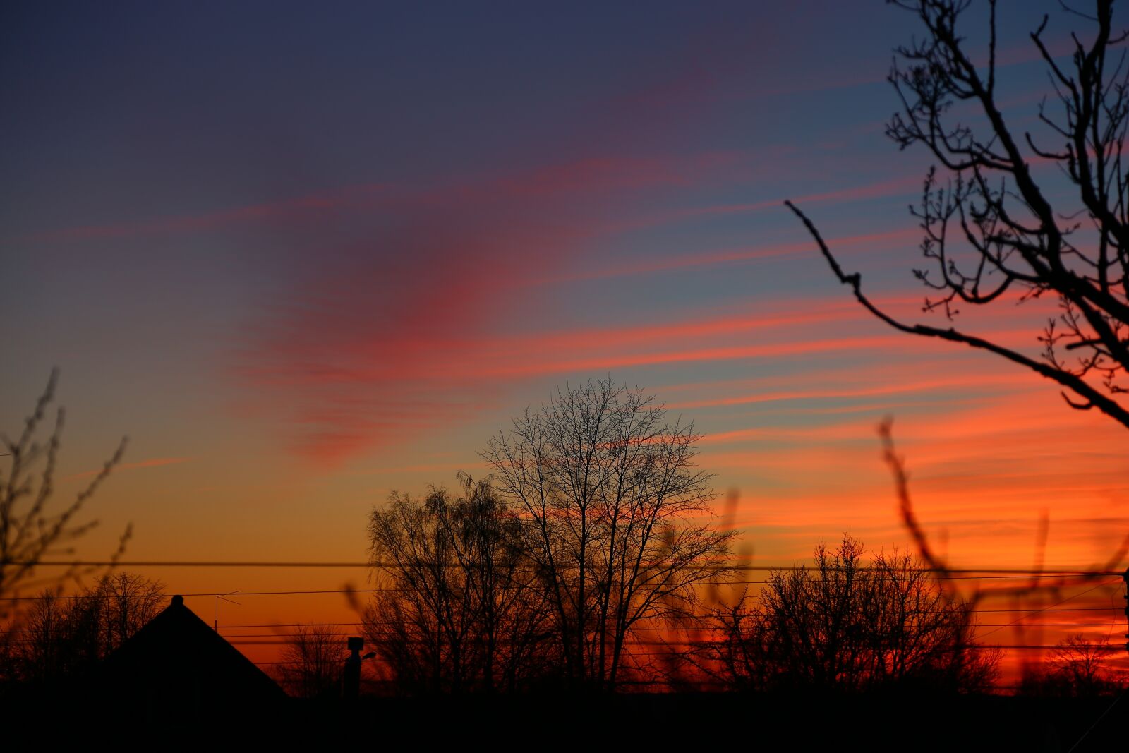 Canon EOS 6D + Canon EF 24-105mm F4L IS USM sample photo. Sunset, twilight, tree photography