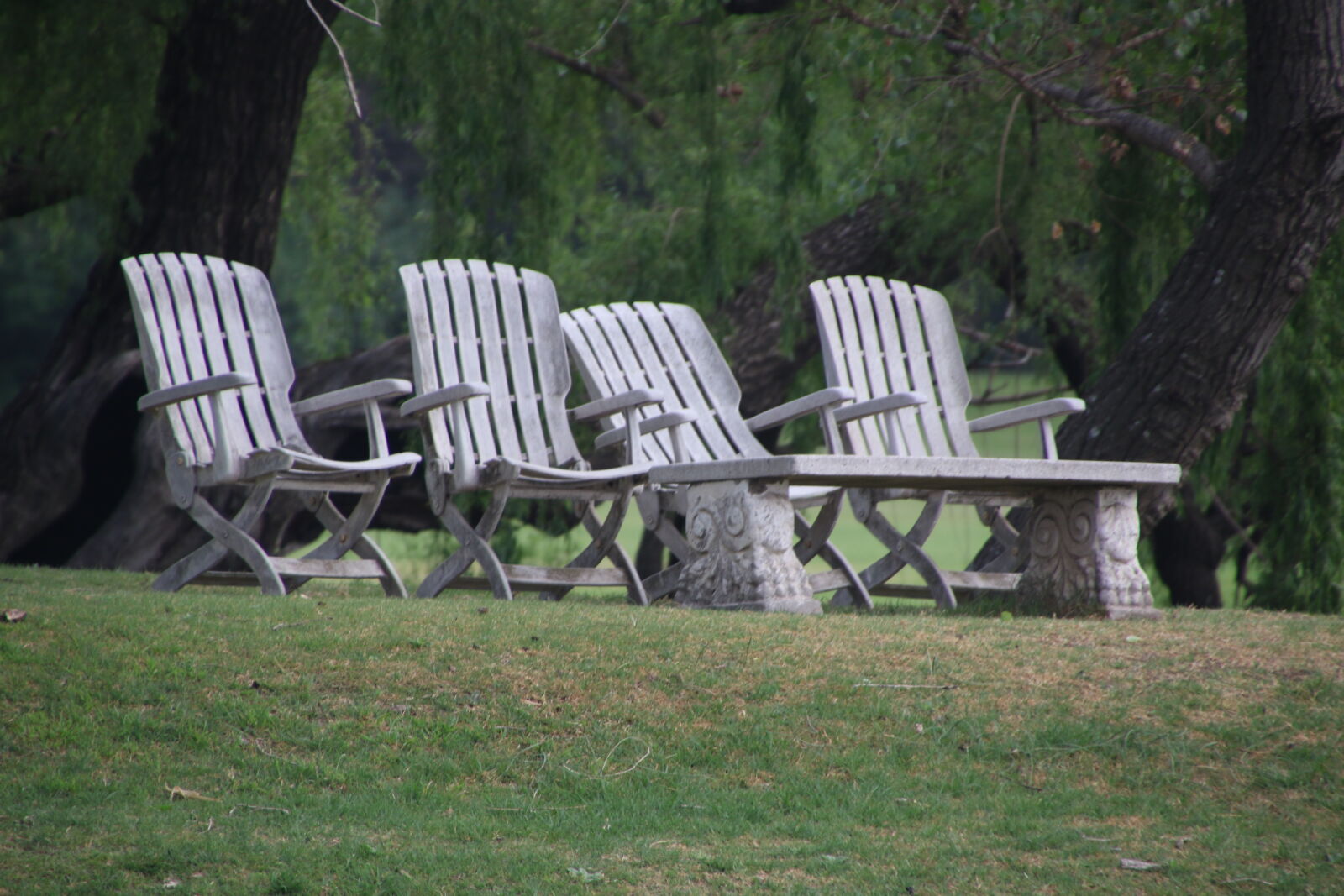Canon EOS 7D Mark II sample photo. Bark, bench, chairs, fun photography