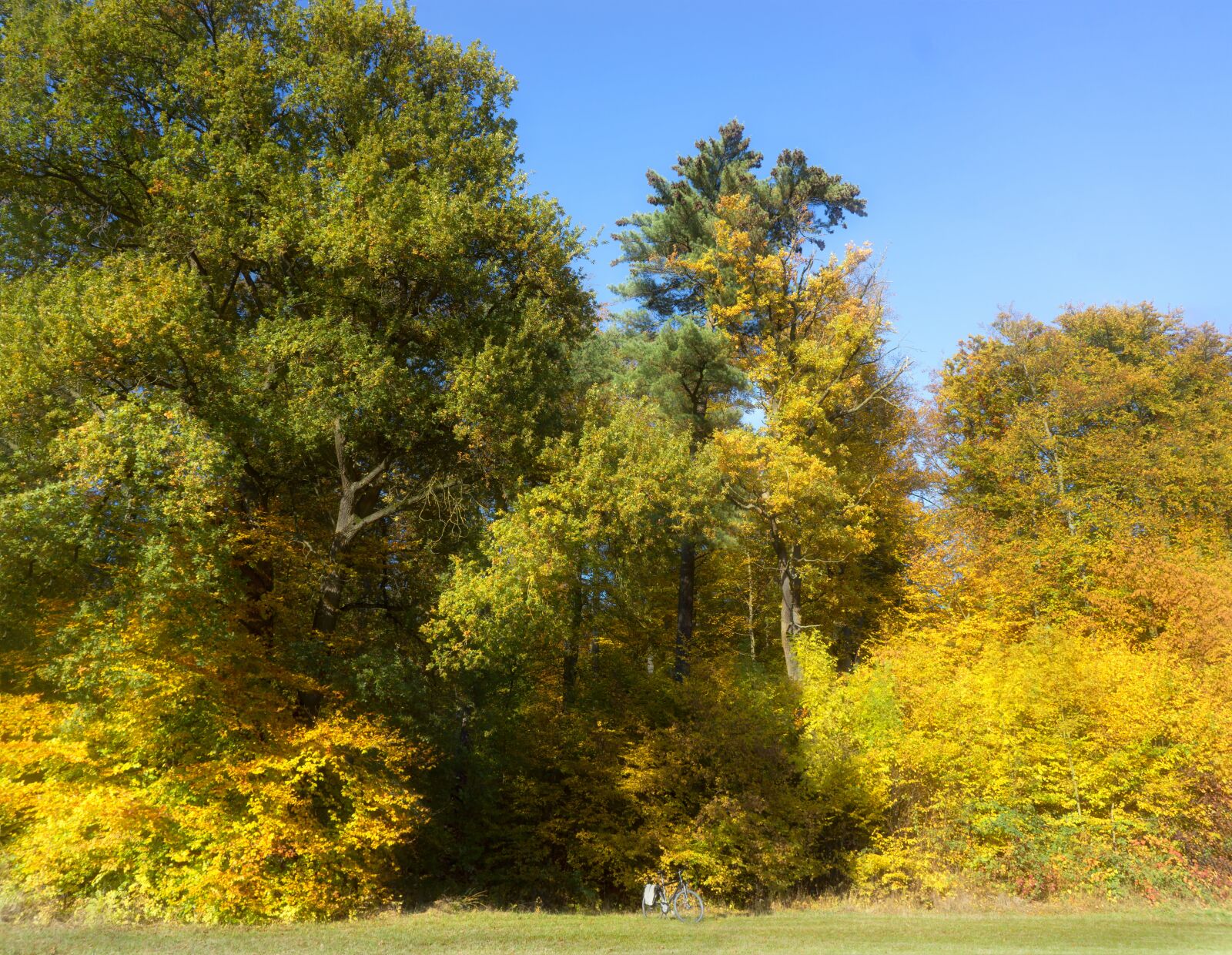 Sony Alpha NEX-7 sample photo. Fr herbst, edge of photography