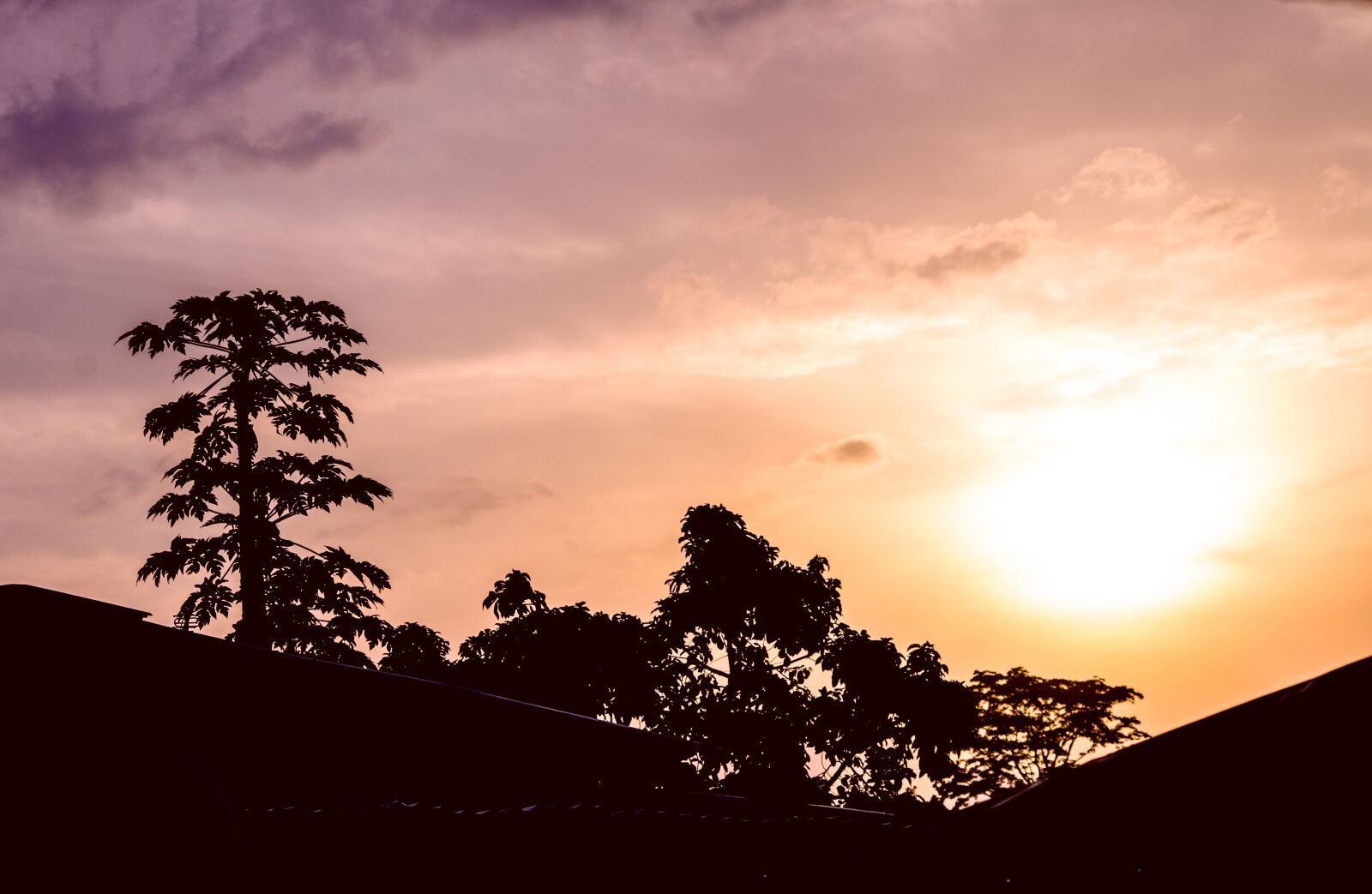Canon EOS 1200D (EOS Rebel T5 / EOS Kiss X70 / EOS Hi) sample photo. Libreville, sunrise, papaya photography