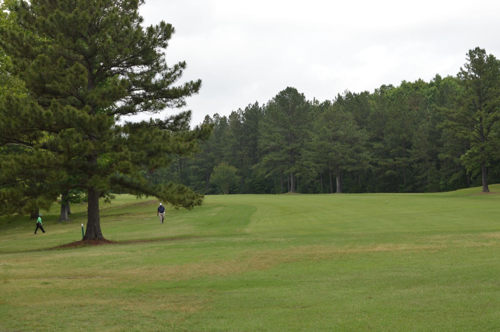 Nikon D3200 sample photo. Lawn, golf, fairway photography
