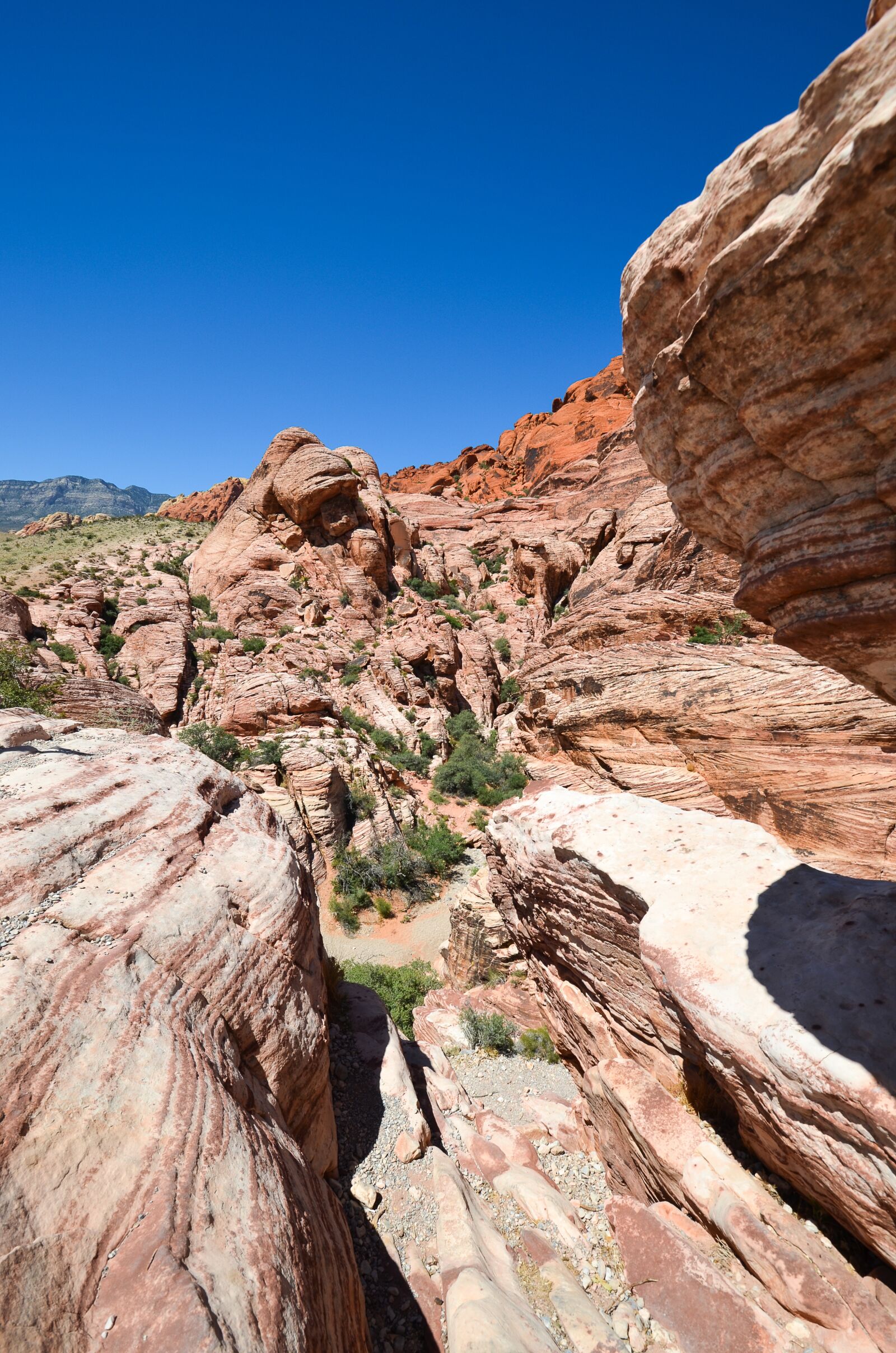 Nikon D5100 sample photo. Nevada, usa, america photography